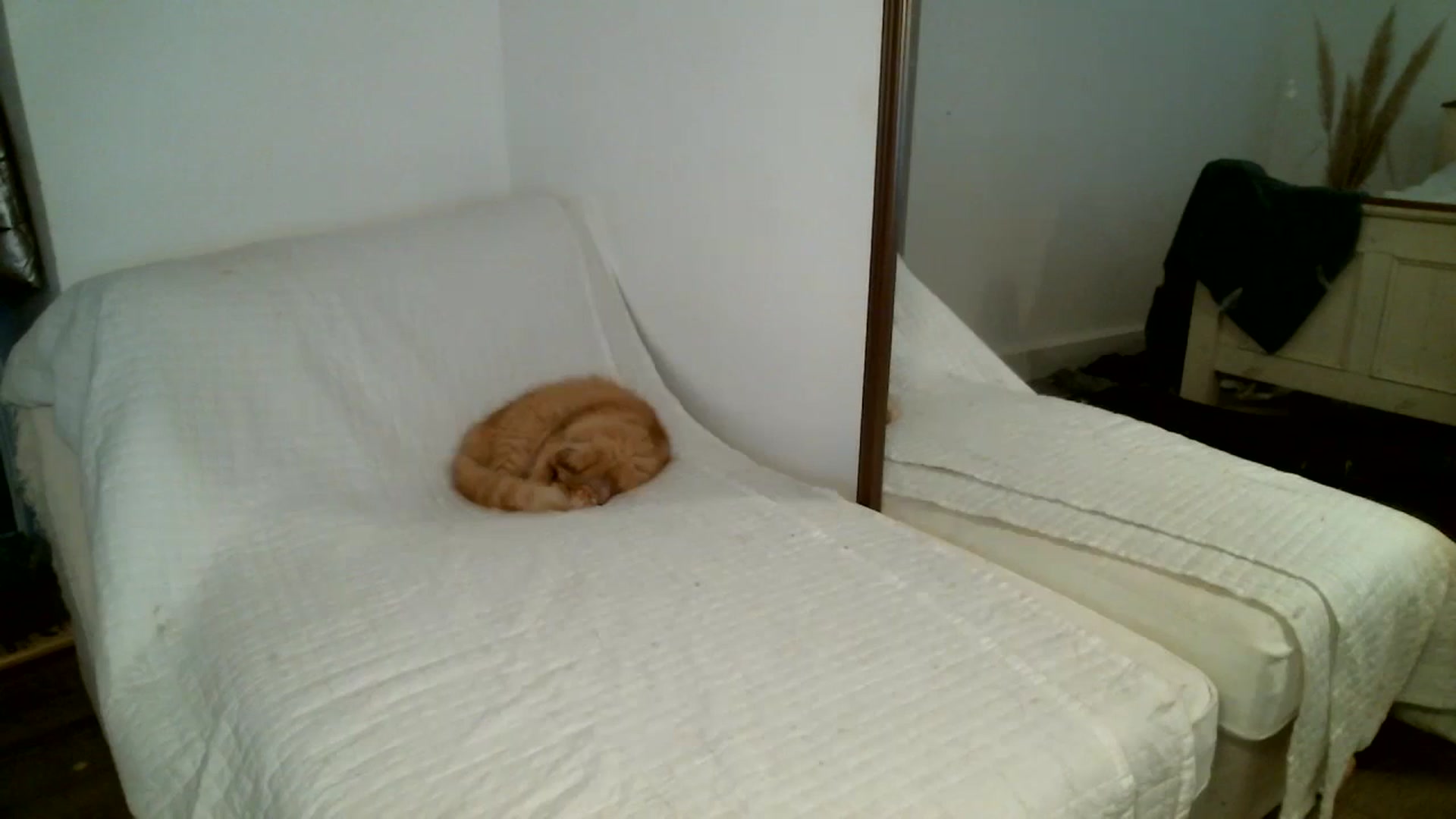 Gallery image thumbnail from IamMayaRoseX's myfreecams stream on, 02/03/2024, 12:47 image 14 of 20