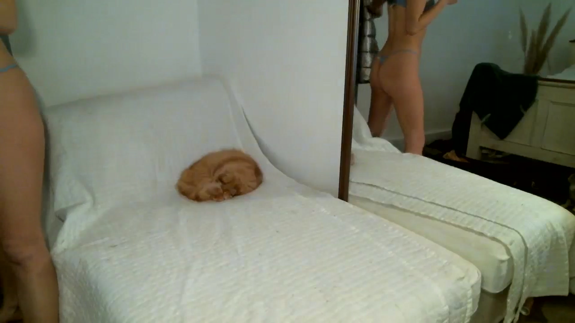 Gallery image thumbnail from IamMayaRoseX's myfreecams stream on, 02/03/2024, 12:47 image 17 of 20