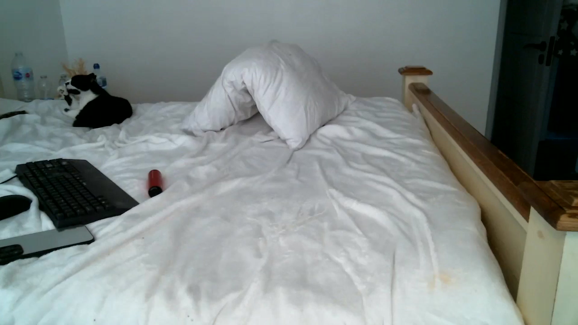 Gallery image thumbnail from IamMayaRoseX's myfreecams stream on, 08/02/2024, 15:49 image 19 of 20