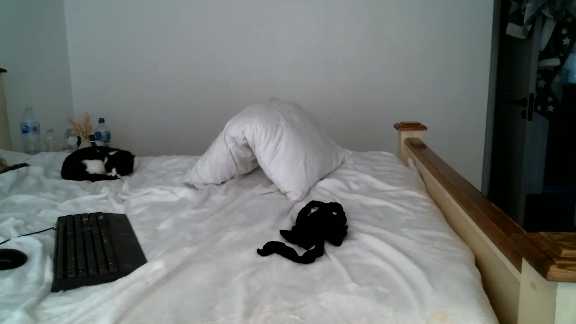 Gallery image thumbnail from IamMayaRoseX's myfreecams stream on, 08/02/2024, 15:49 image 20 of 20