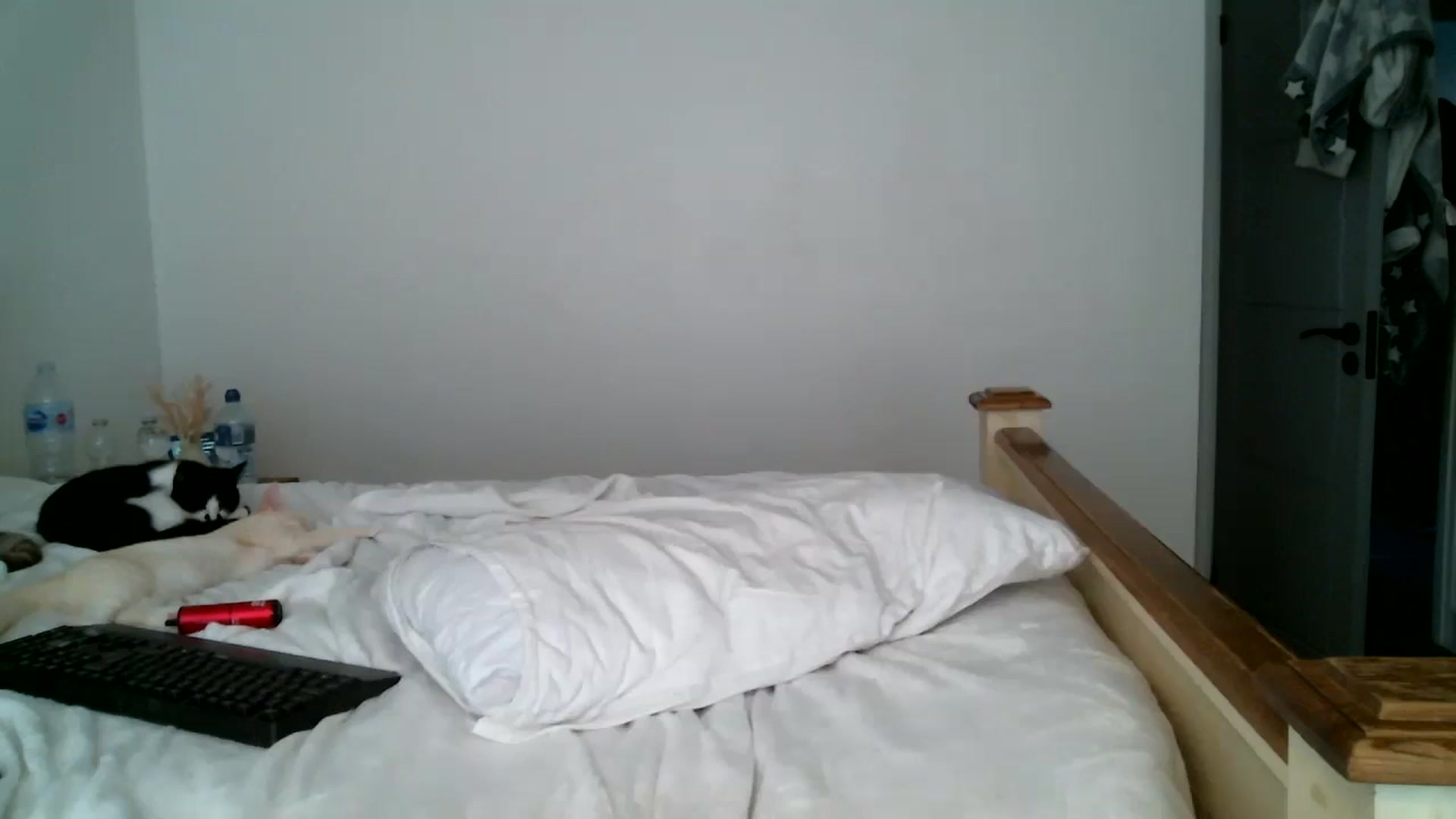 Gallery image thumbnail from IamMayaRoseX's myfreecams stream on, 08/02/2024, 18:52 image 1 of 20