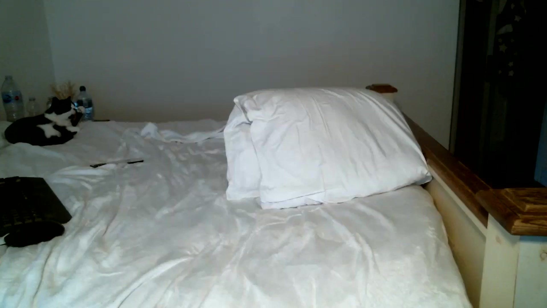 Gallery image thumbnail from IamMayaRoseX's myfreecams stream on, 08/02/2024, 18:52 image 18 of 20