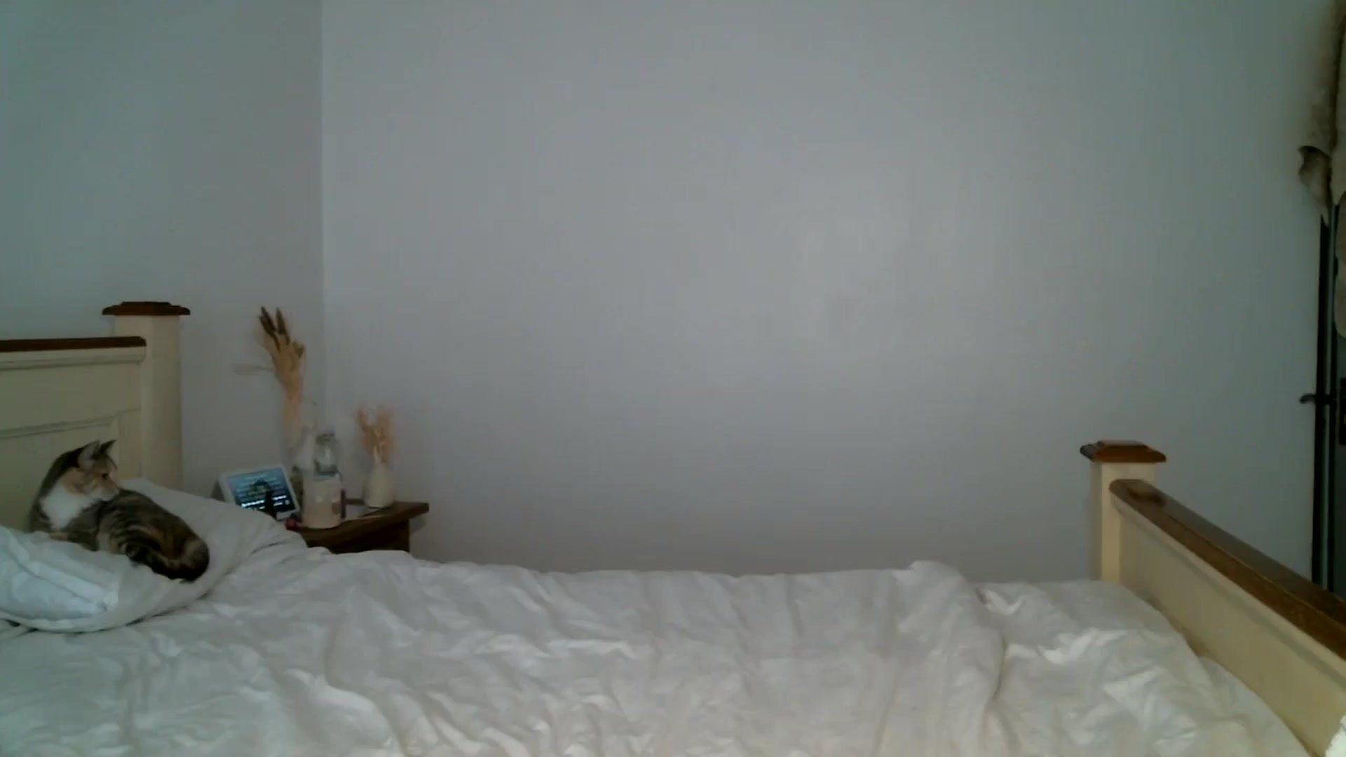 Gallery image thumbnail from IamMayaRoseX's myfreecams stream on, 08/22/2024, 16:56 image 3 of 20