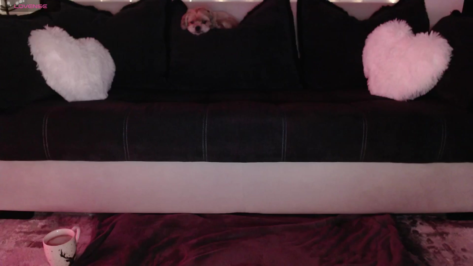 Gallery image thumbnail from IamNOTbaby's myfreecams stream on, 05/04/2024, 12:47 image 1 of 20