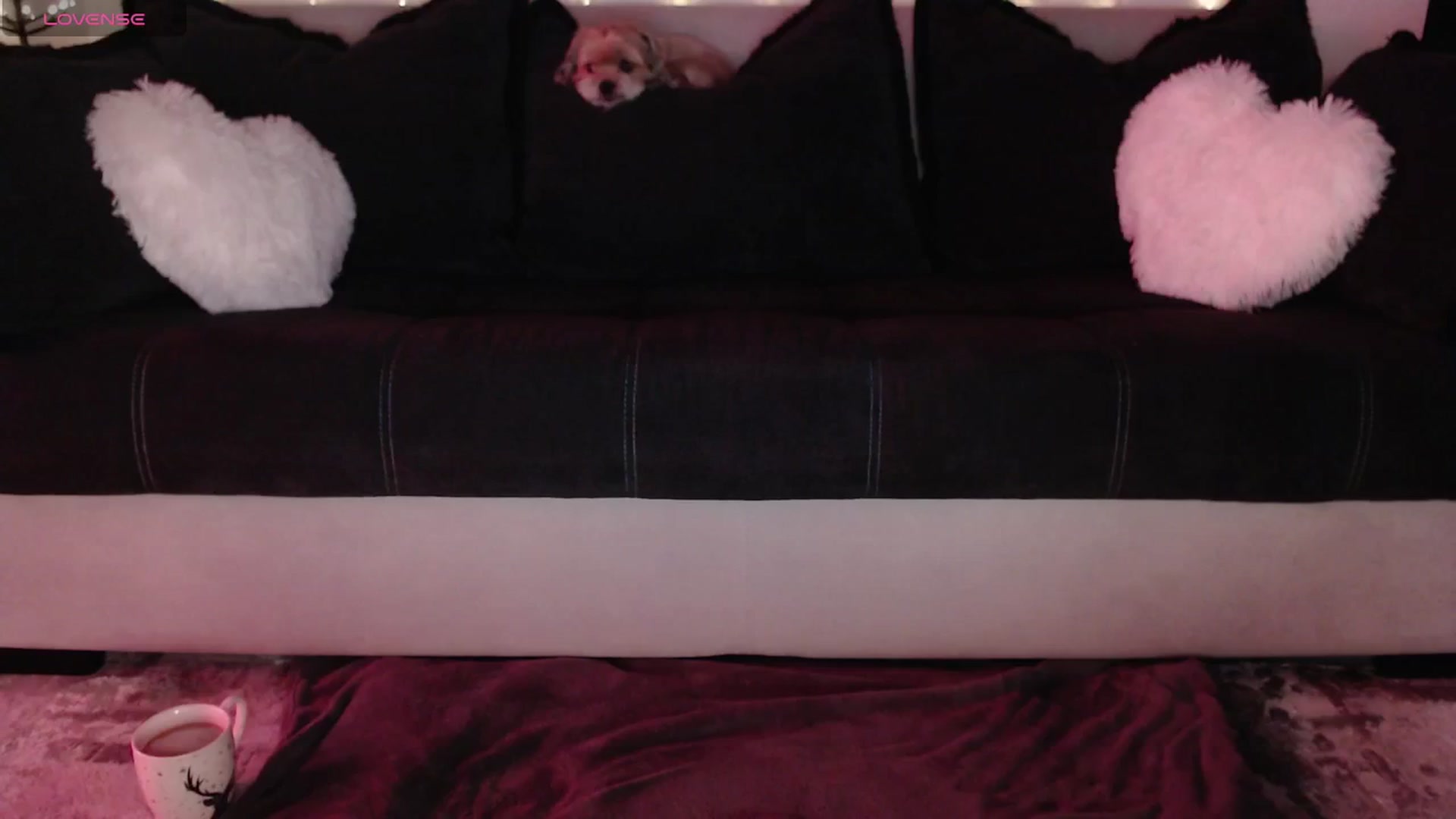 Gallery image thumbnail from IamNOTbaby's myfreecams stream on, 05/04/2024, 12:47 image 2 of 20