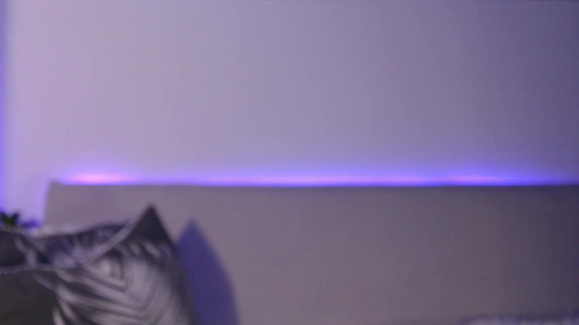 Gallery image thumbnail from IamNOTbaby's myfreecams stream on, 08/29/2024, 01:58 image 12 of 20