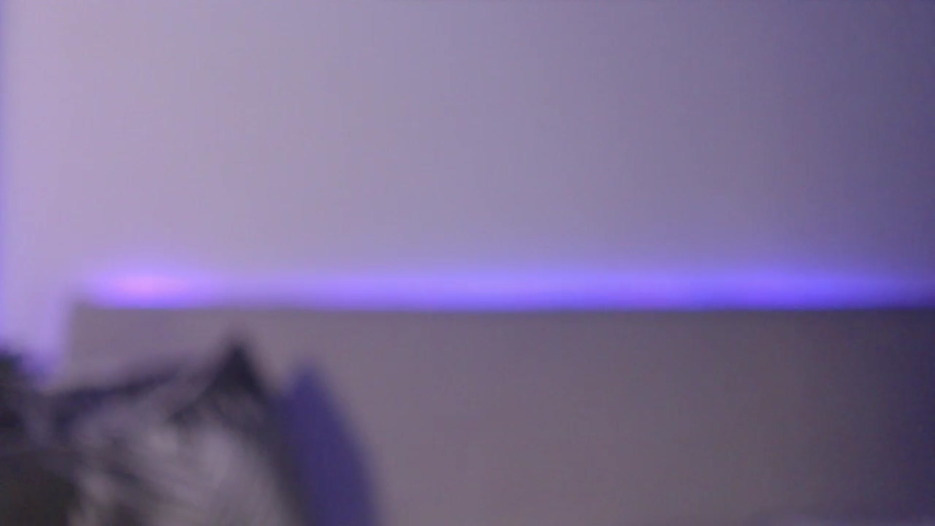 Gallery image thumbnail from IamNOTbaby's myfreecams stream on, 08/29/2024, 01:58 image 13 of 20