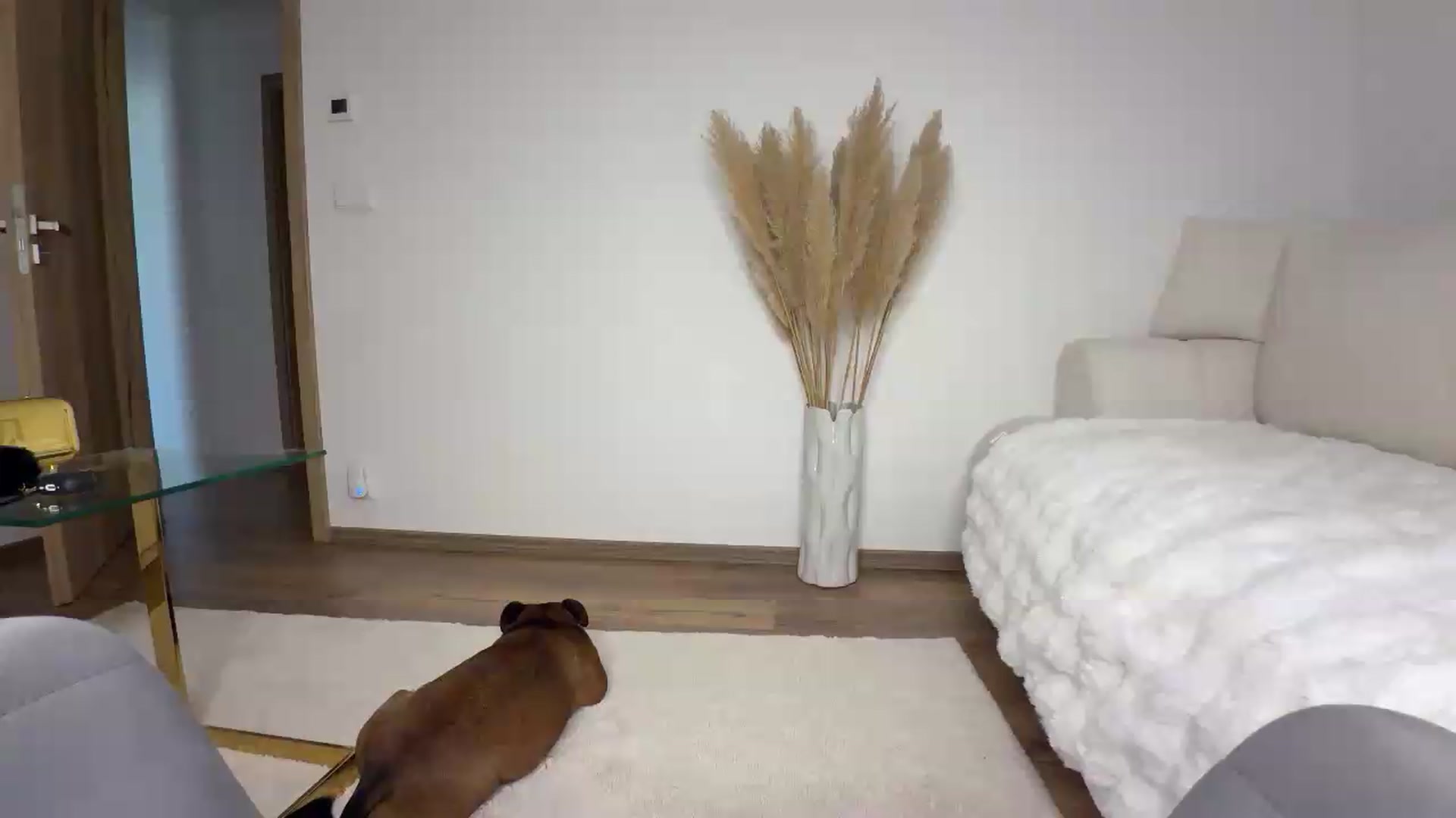 Gallery image thumbnail from IamTess's myfreecams stream on, 08/27/2026, 14:47 image 1 of 20