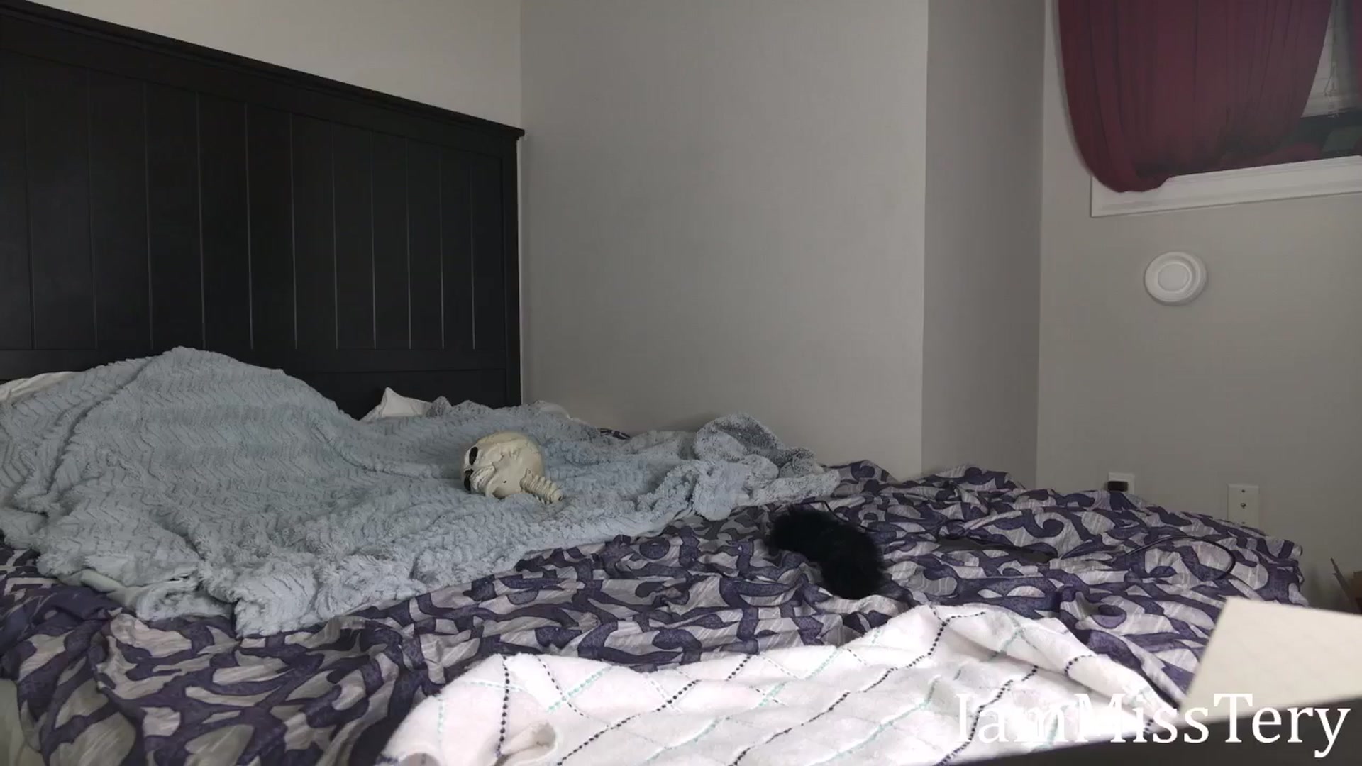 Gallery image thumbnail from Iam_MissTery's myfreecams stream on, 02/11/2025, 12:30 image 2 of 20