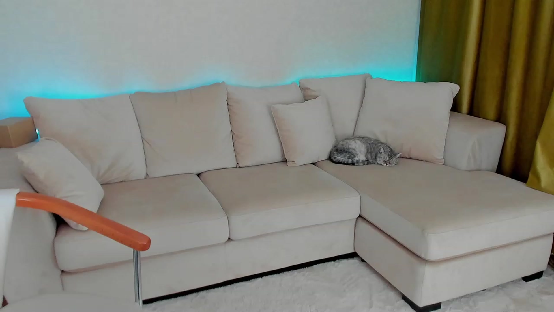 Gallery image thumbnail from Iam_Sasha's myfreecams stream on, 11/19/2022, 10:39 image 15 of 20