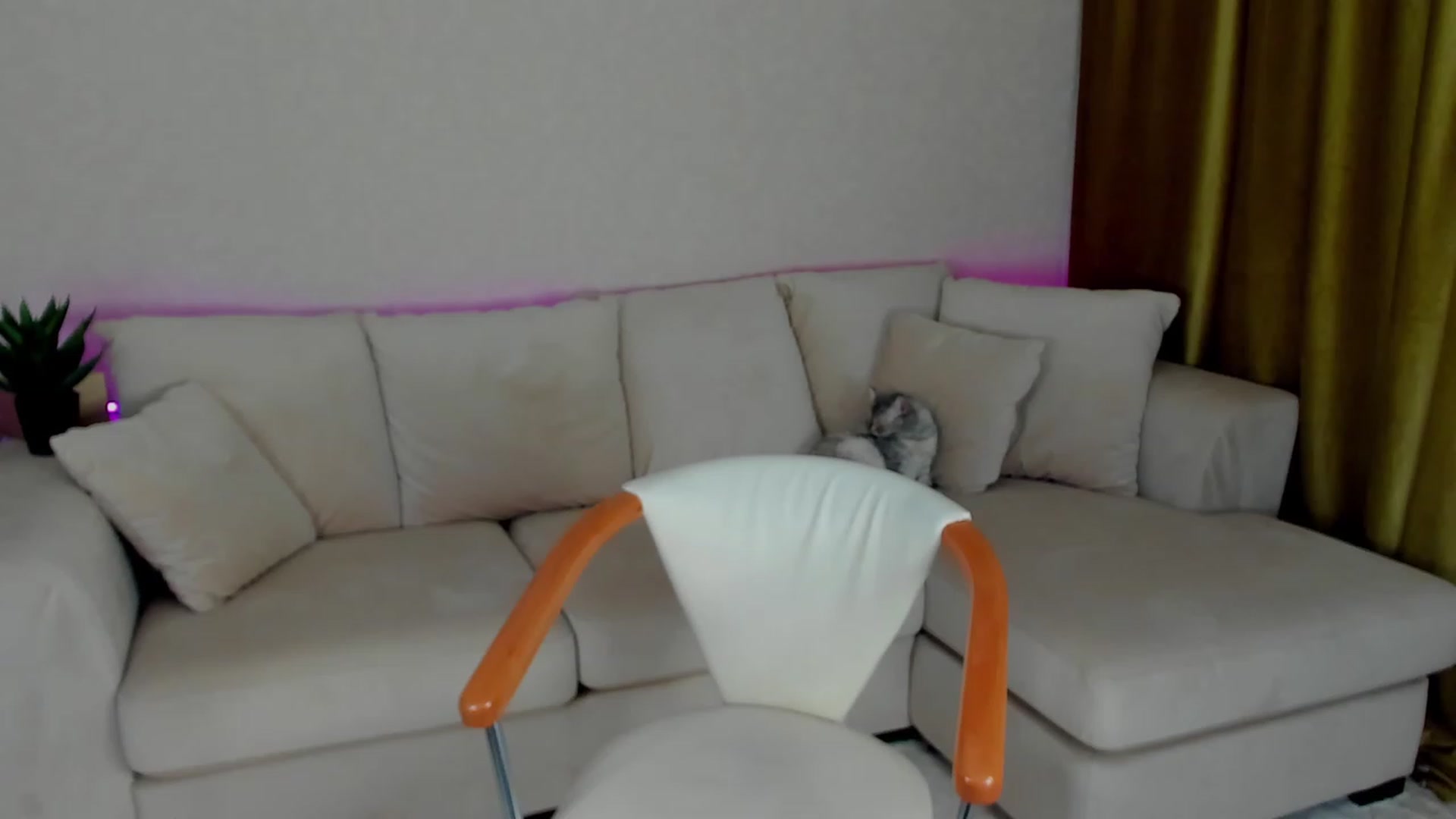 Gallery image thumbnail from Iam_Sasha's myfreecams stream on, 11/26/2022, 16:15 image 11 of 20