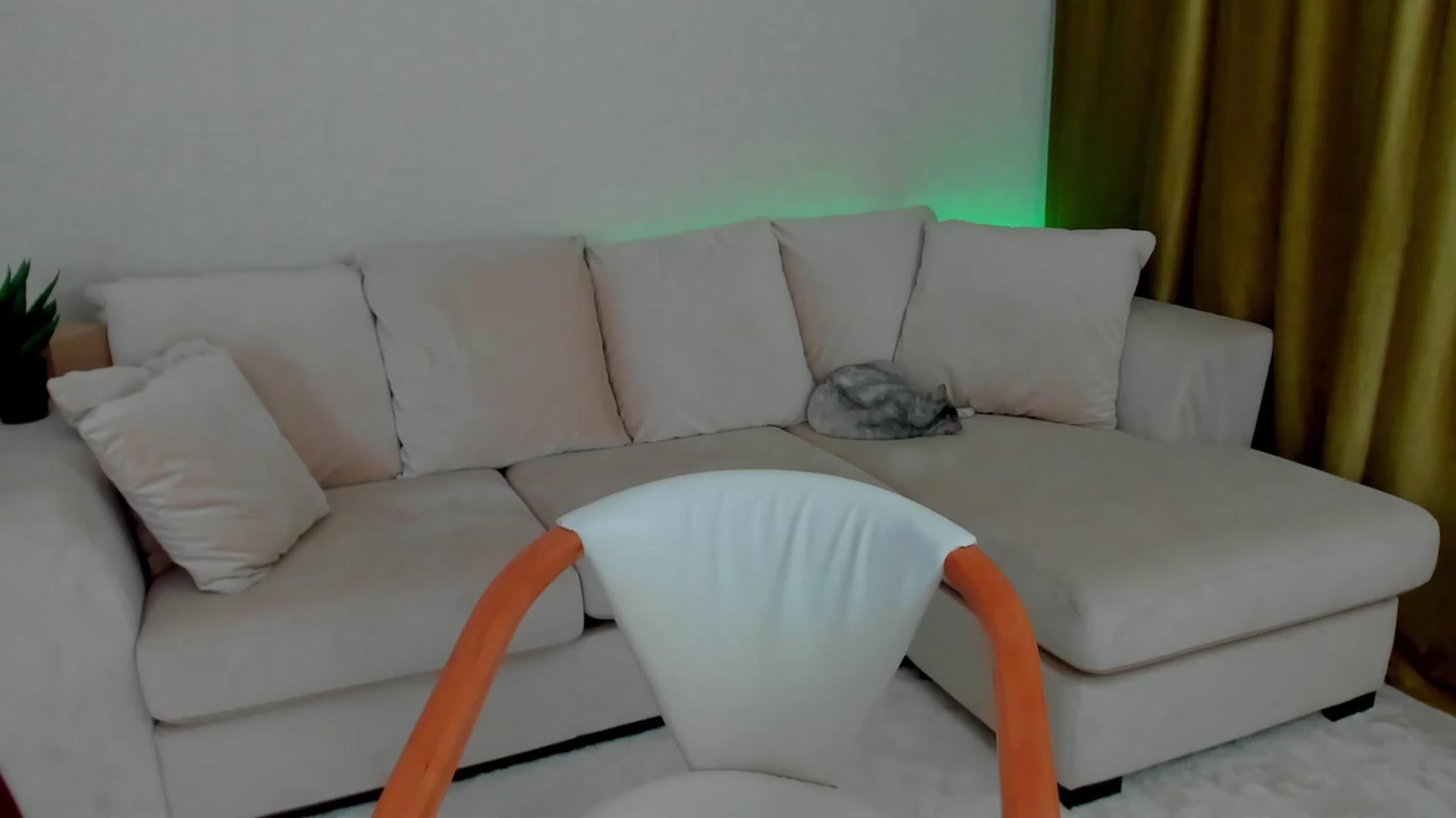 Gallery image thumbnail from Iam_Sasha's myfreecams stream on, 11/29/2022, 13:37 image 9 of 20