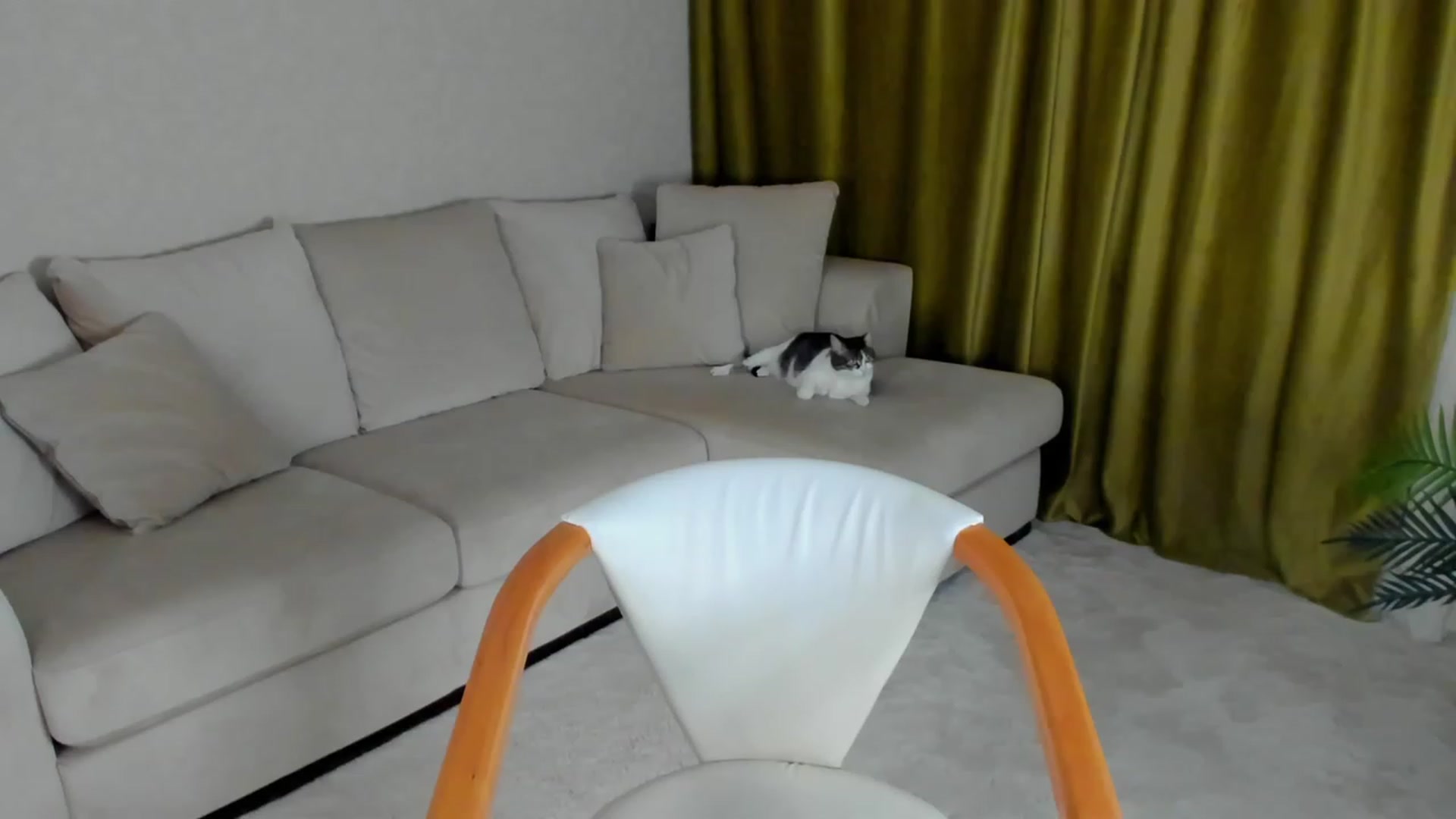 Gallery image thumbnail from Iam_Sasha's myfreecams stream on, 02/15/2023, 09:02 image 5 of 20