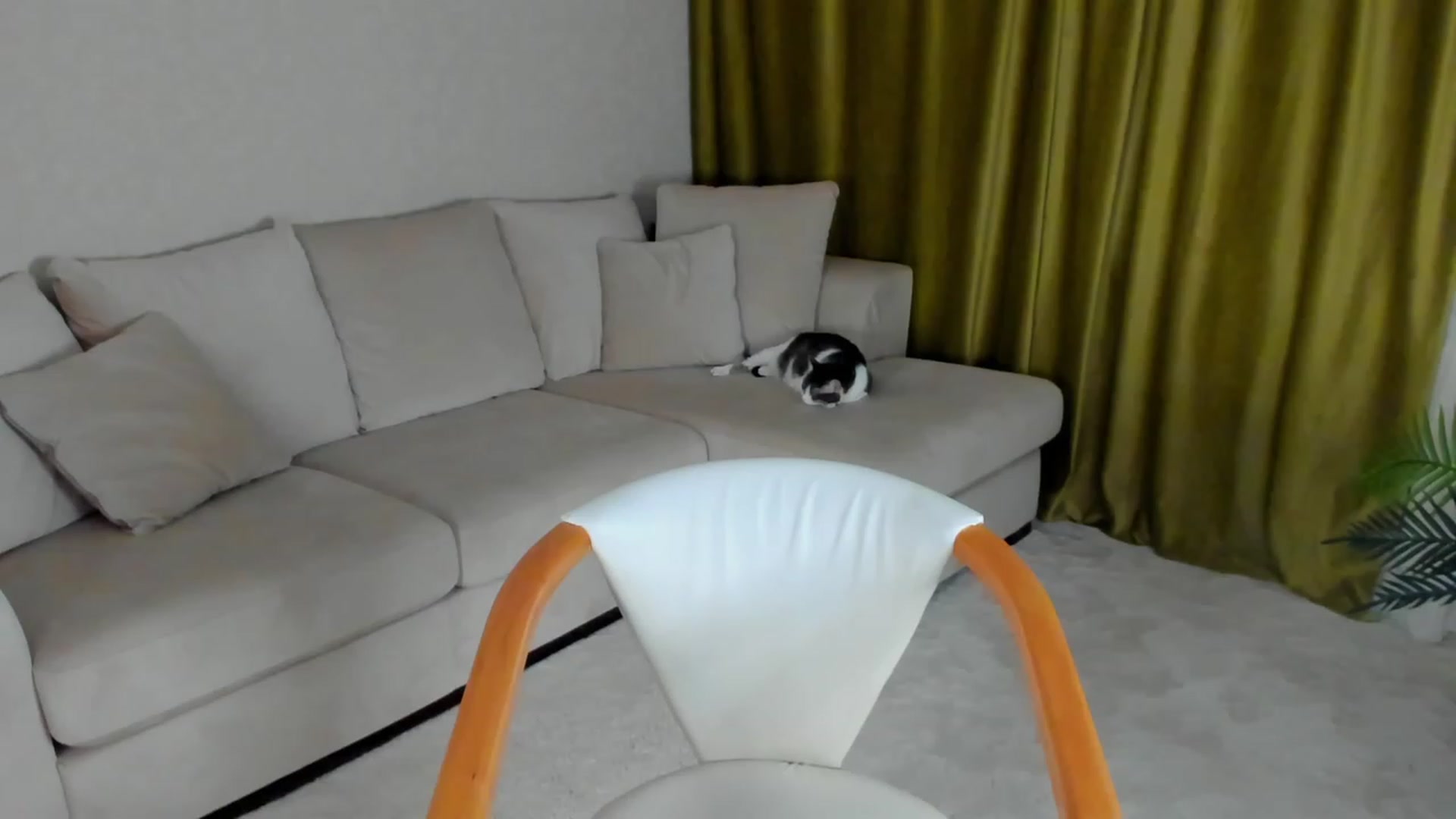 Gallery image thumbnail from Iam_Sasha's myfreecams stream on, 02/15/2023, 09:02 image 6 of 20