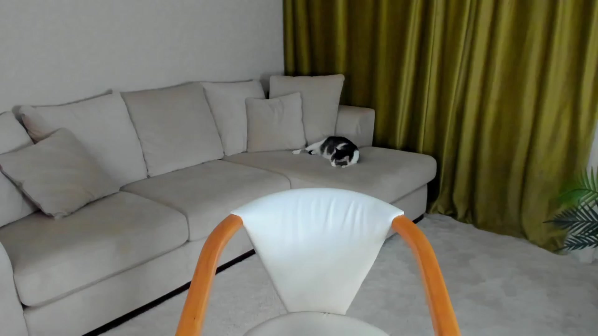 Gallery image thumbnail from Iam_Sasha's myfreecams stream on, 02/15/2023, 09:02 image 4 of 20