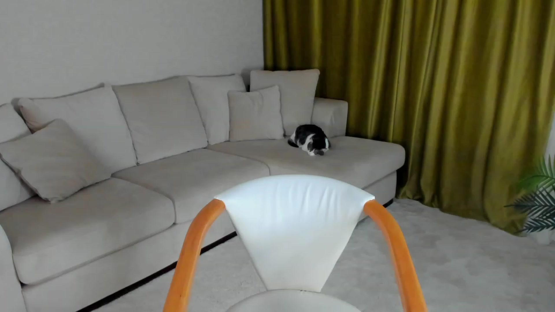 Gallery image thumbnail from Iam_Sasha's myfreecams stream on, 02/15/2023, 09:02 image 1 of 20