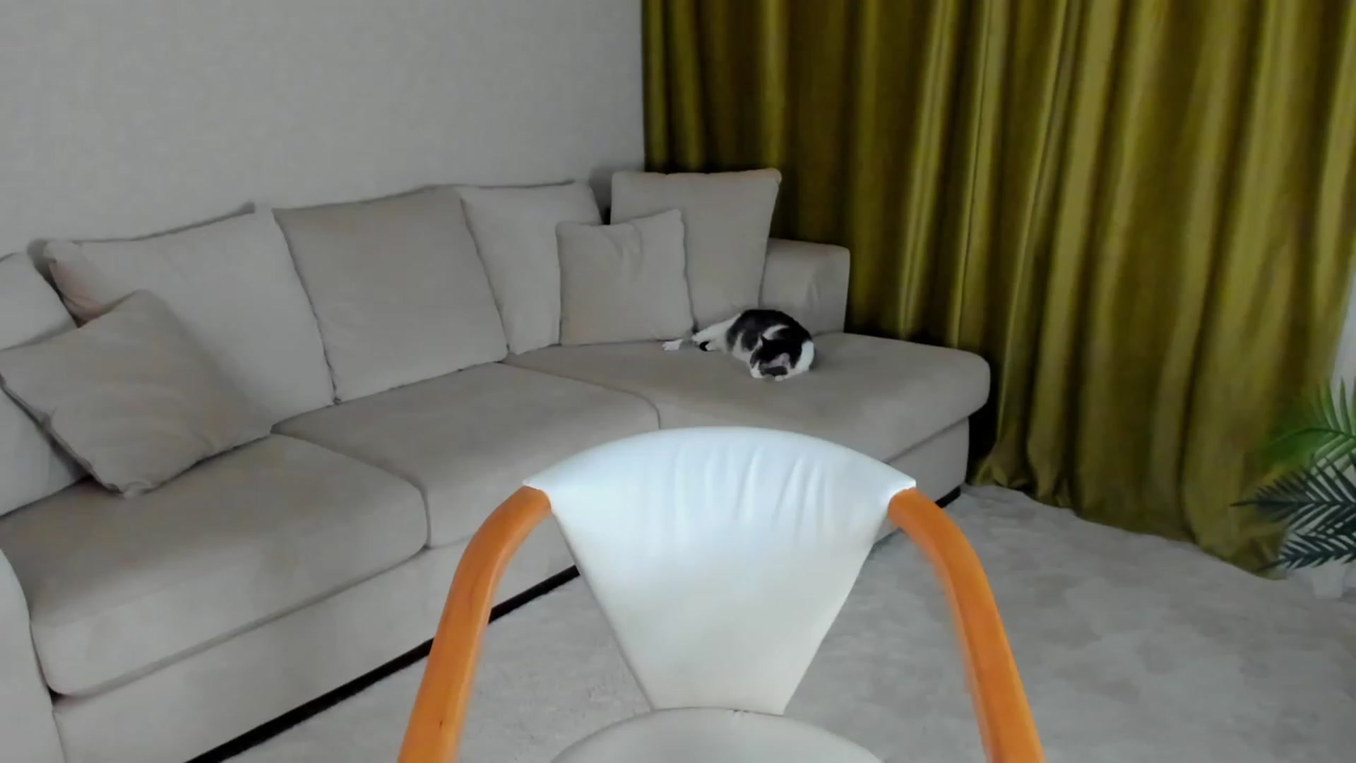 Gallery image thumbnail from Iam_Sasha's myfreecams stream on, 02/15/2023, 09:02 image 2 of 20