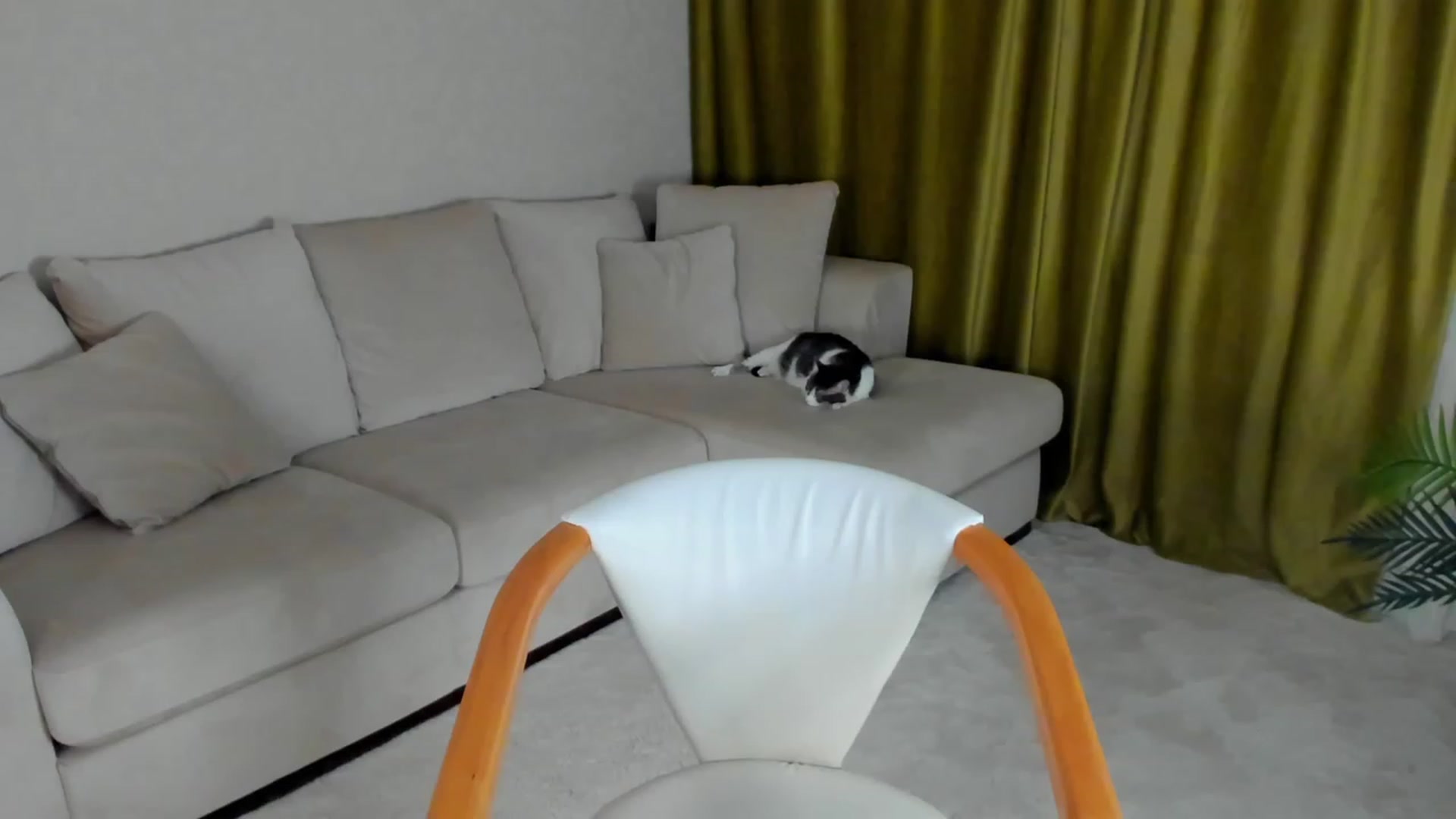 Gallery image thumbnail from Iam_Sasha's myfreecams stream on, 02/15/2023, 09:02 image 3 of 20