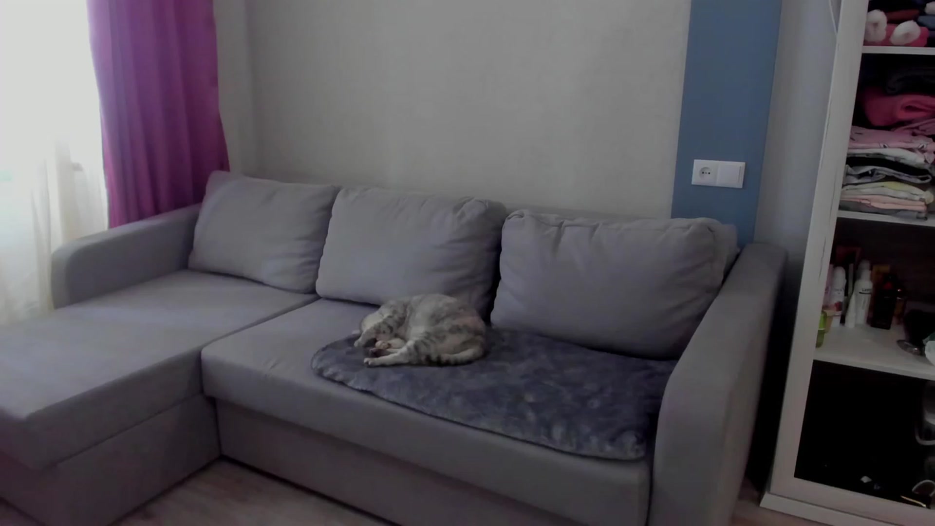 Gallery image thumbnail from Iam_Sasha's myfreecams stream on, 03/16/2023, 09:27 image 20 of 20