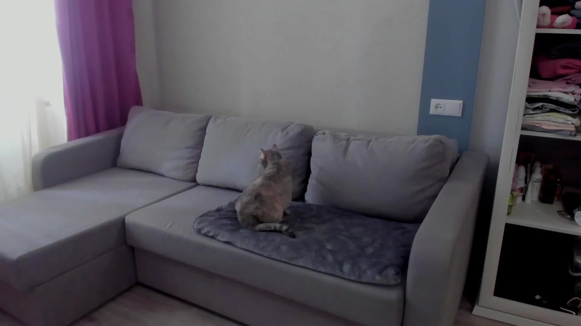 Gallery image thumbnail from Iam_Sasha's myfreecams stream on, 03/16/2023, 09:27 image 9 of 20