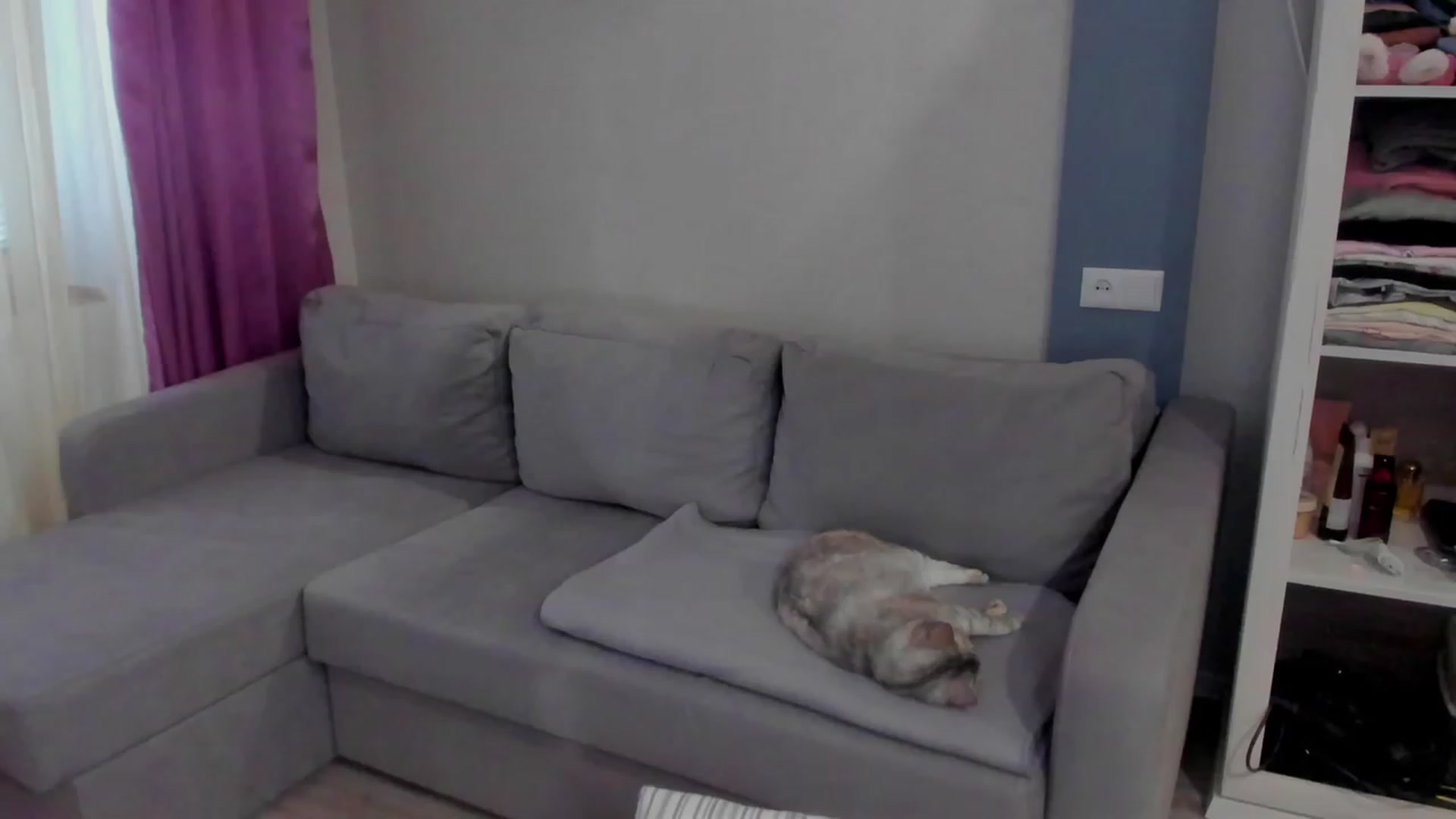 Gallery image thumbnail from Iam_Sasha's myfreecams stream on, 03/17/2023, 07:34 image 17 of 20