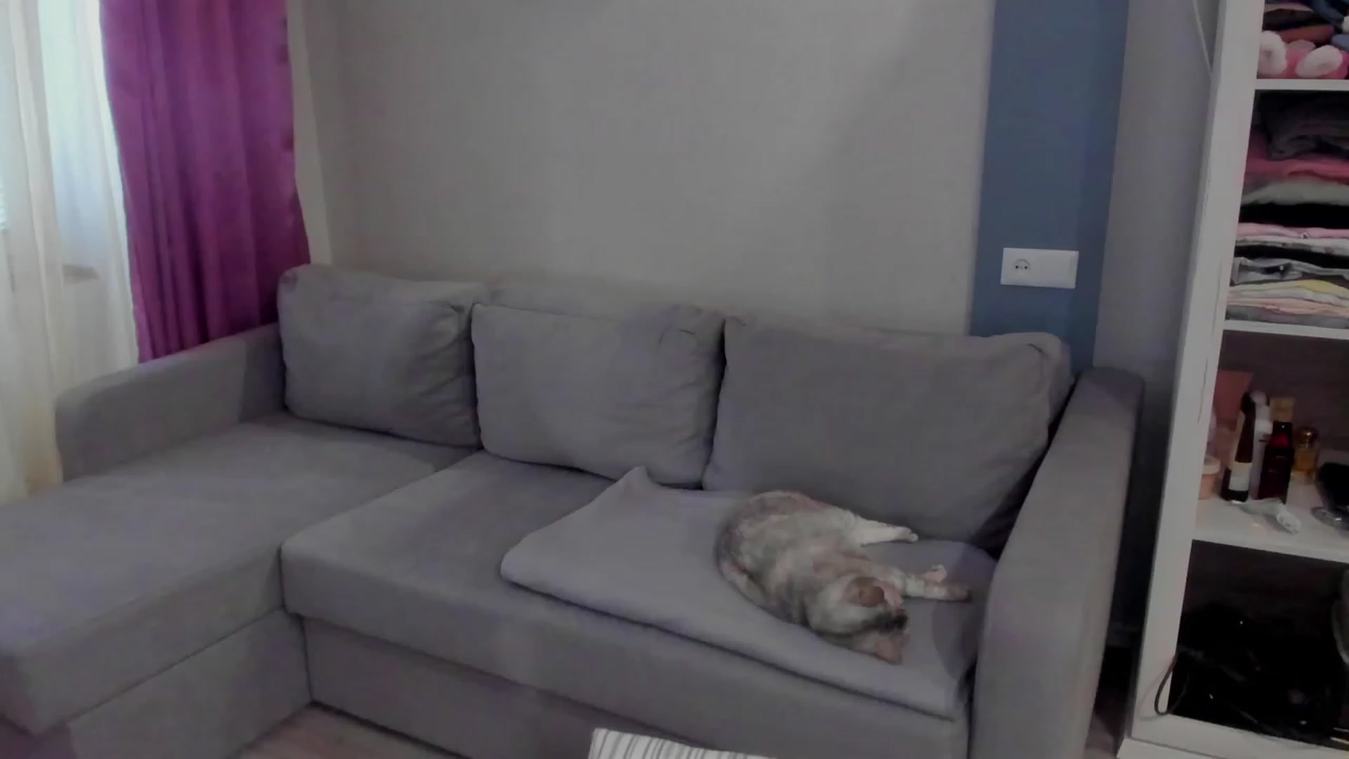 Gallery image thumbnail from Iam_Sasha's myfreecams stream on, 03/17/2023, 07:34 image 15 of 20
