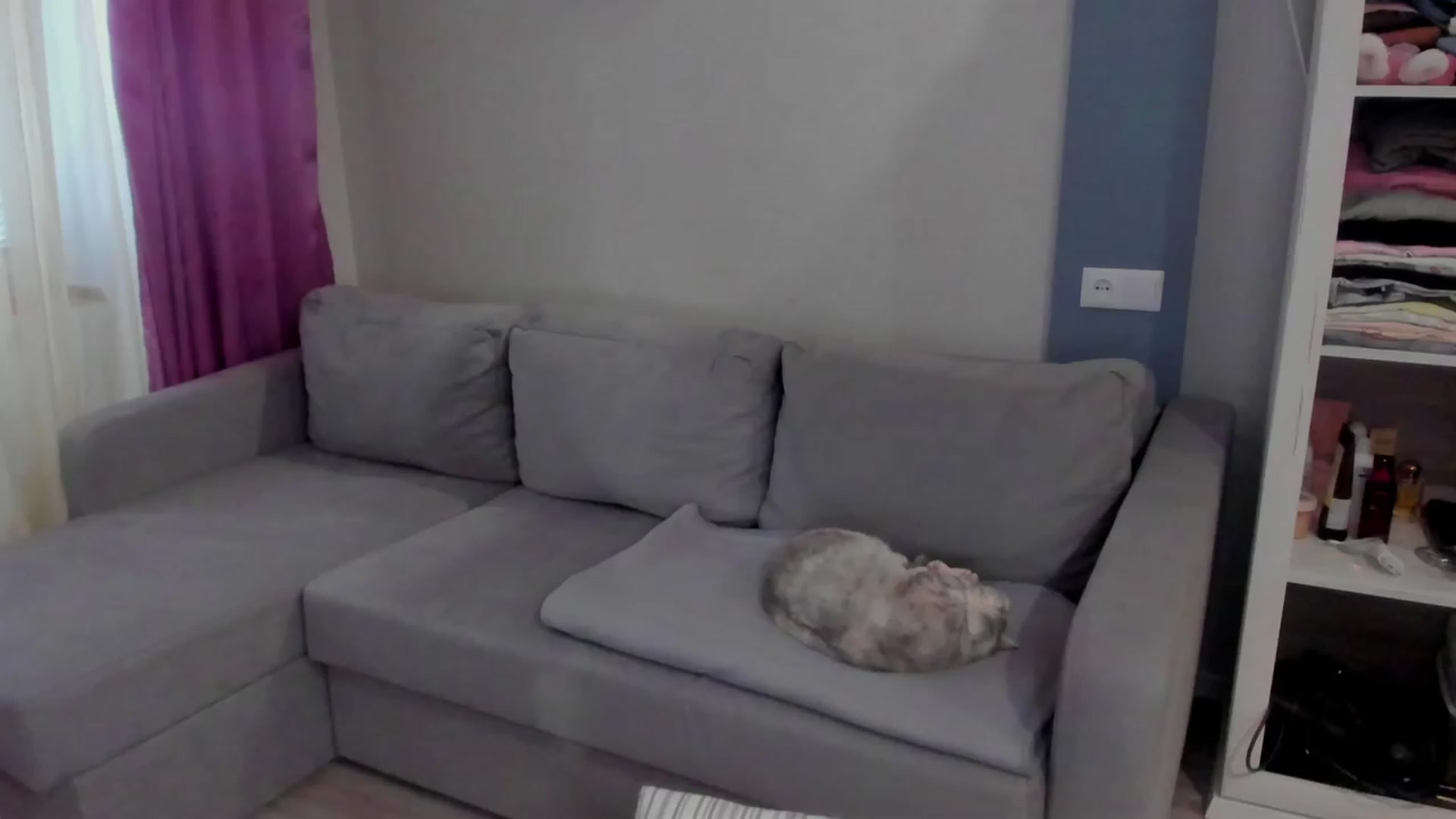 Gallery image thumbnail from Iam_Sasha's myfreecams stream on, 03/17/2023, 07:34 image 18 of 20