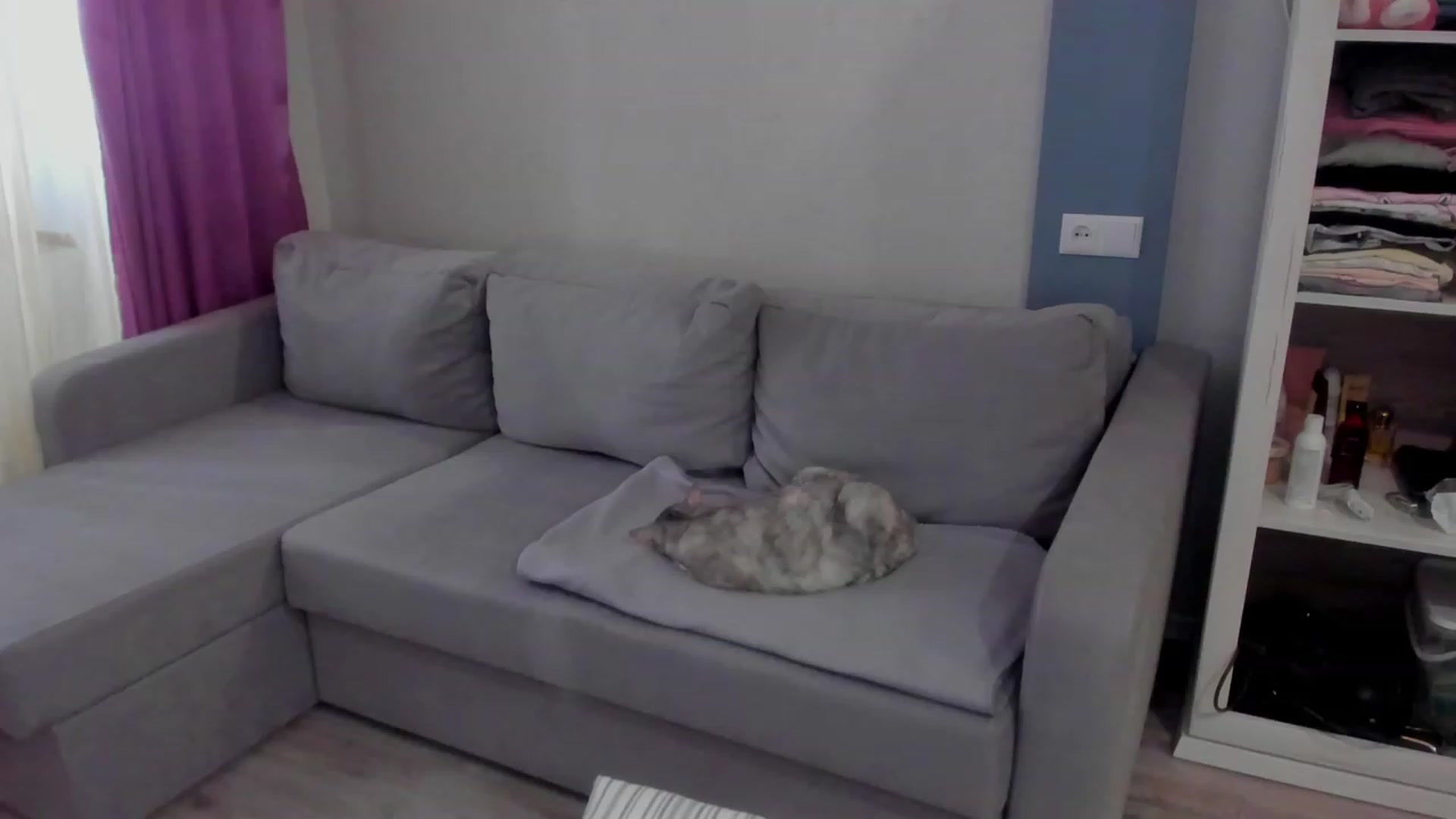 Gallery image thumbnail from Iam_Sasha's myfreecams stream on, 03/17/2023, 09:53 image 16 of 20