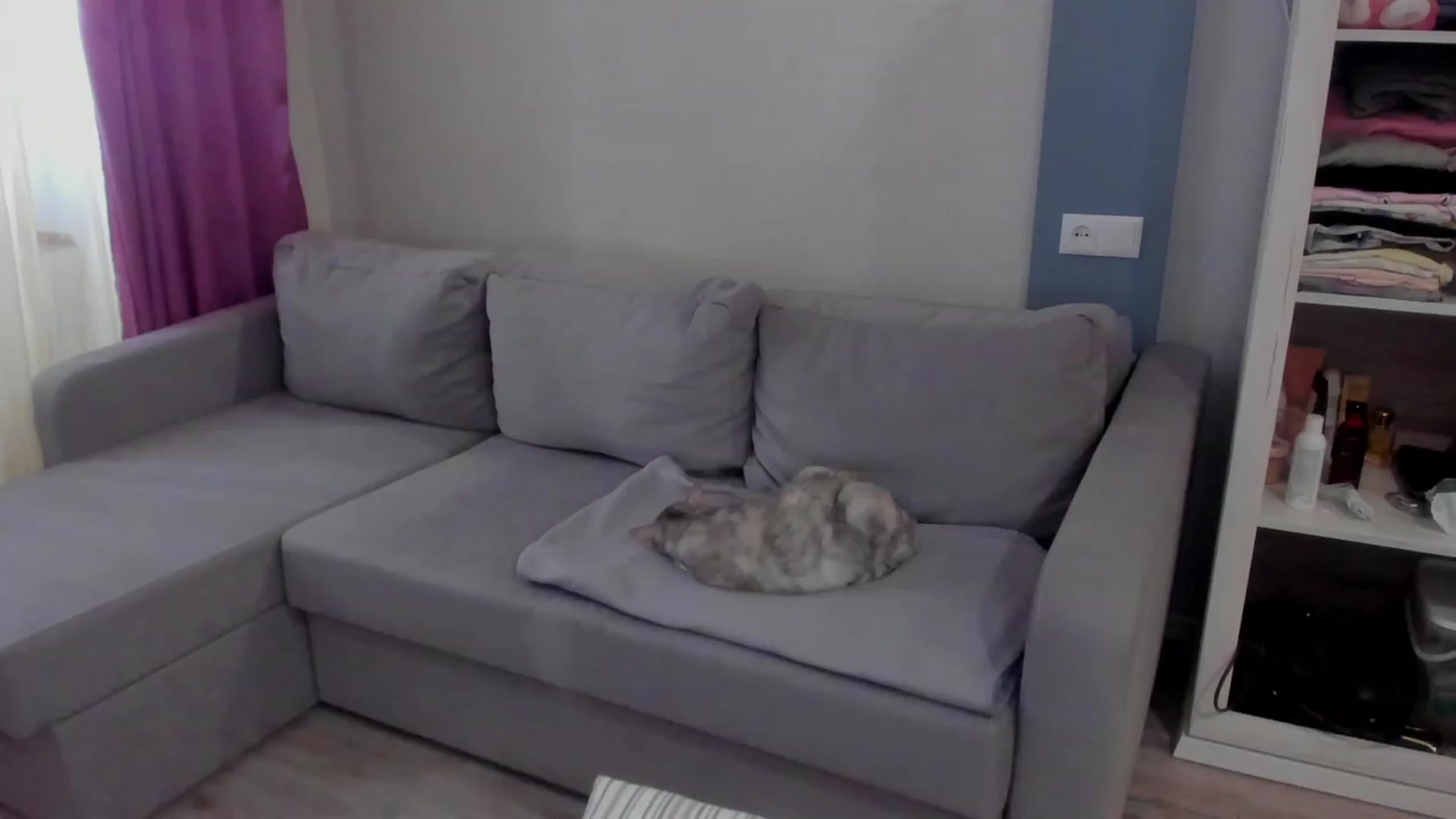 Gallery image thumbnail from Iam_Sasha's myfreecams stream on, 03/17/2023, 09:53 image 14 of 20