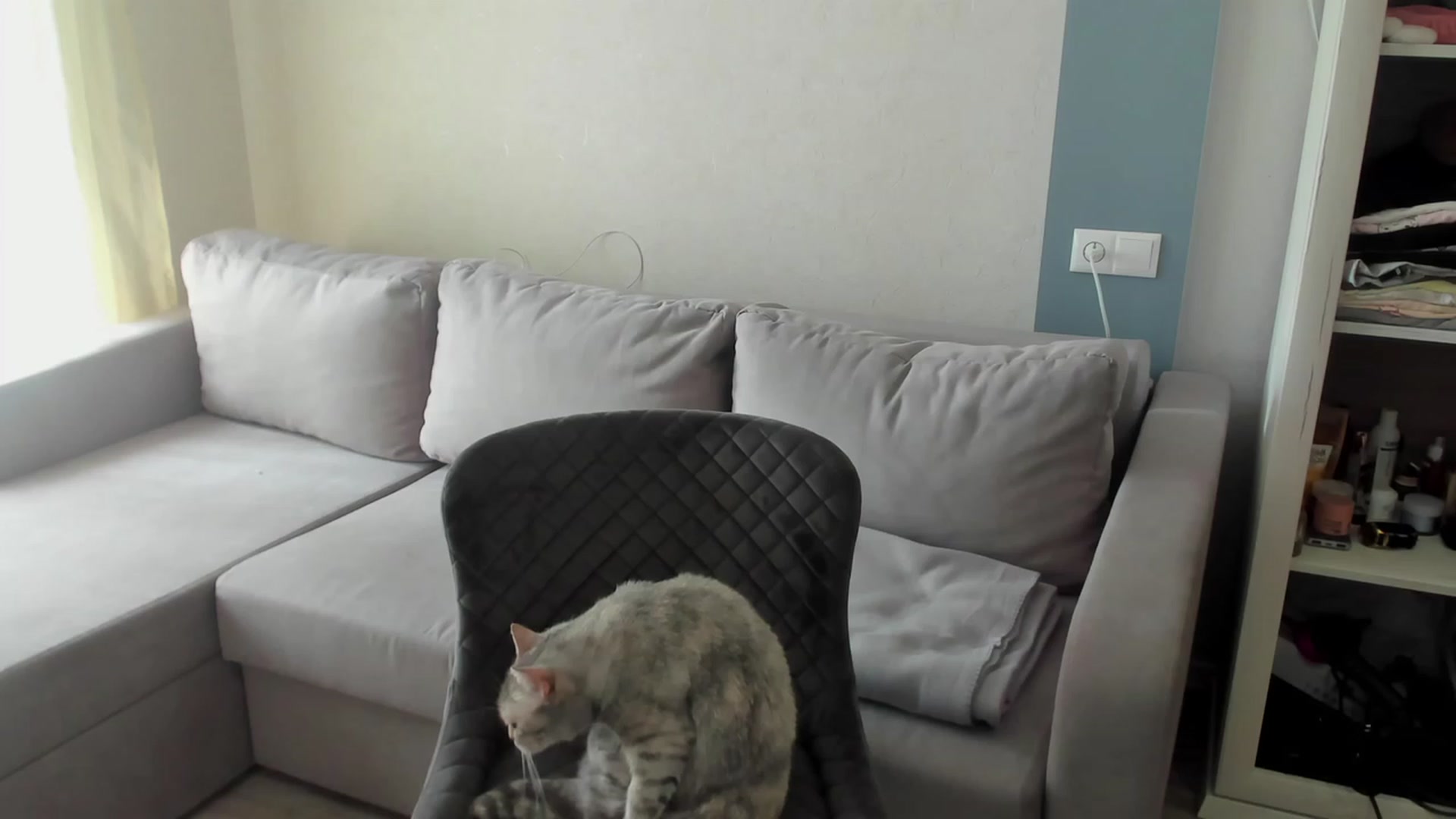 Gallery image thumbnail from Iam_Sasha's myfreecams stream on, 05/07/2023, 11:10 image 1 of 20