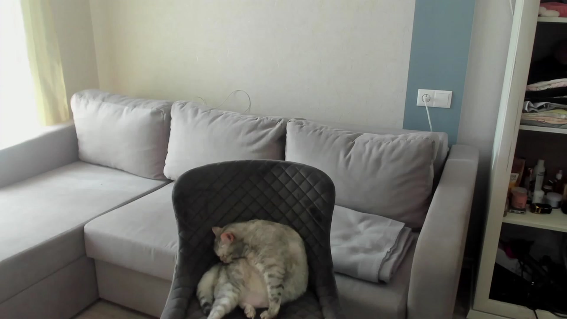 Gallery image thumbnail from Iam_Sasha's myfreecams stream on, 05/07/2023, 11:10 image 2 of 20