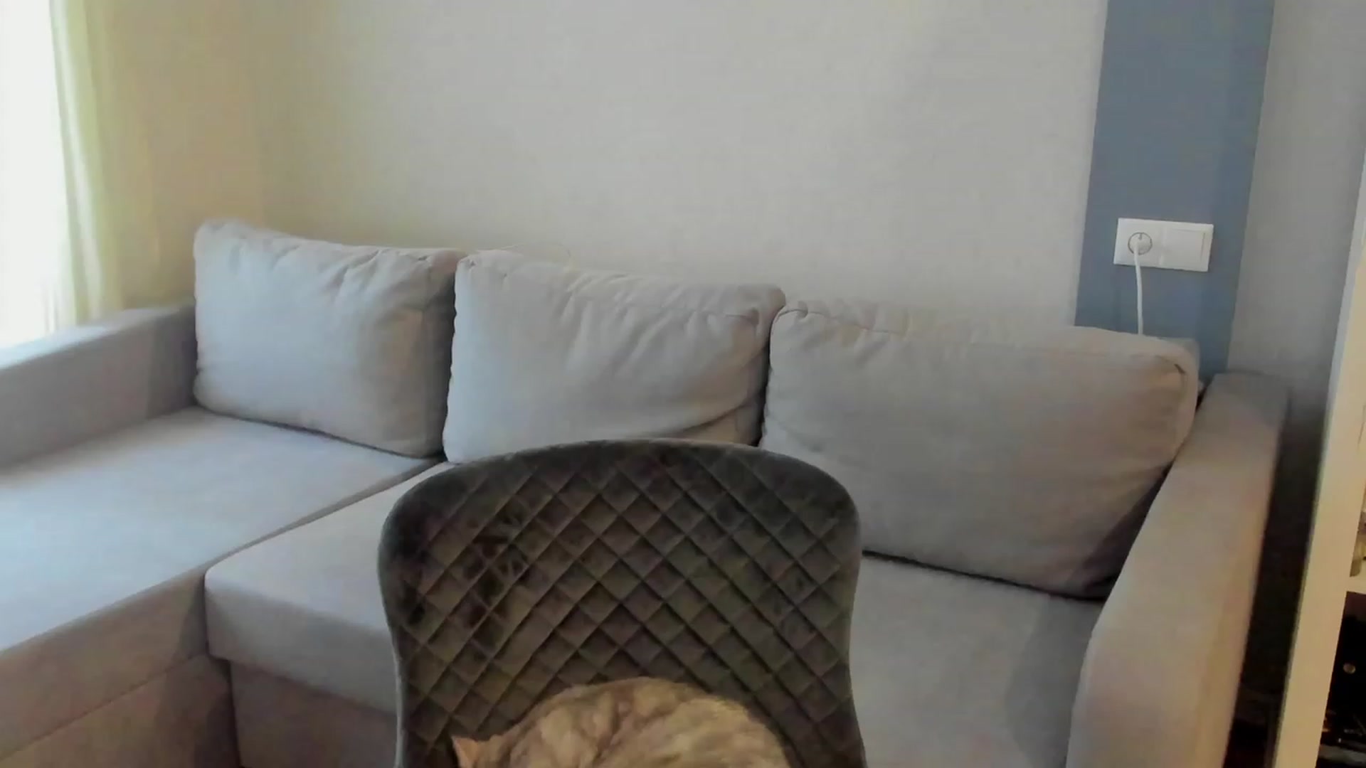 Gallery image thumbnail from Iam_Sasha's myfreecams stream on, 05/14/2023, 15:43 image 4 of 20