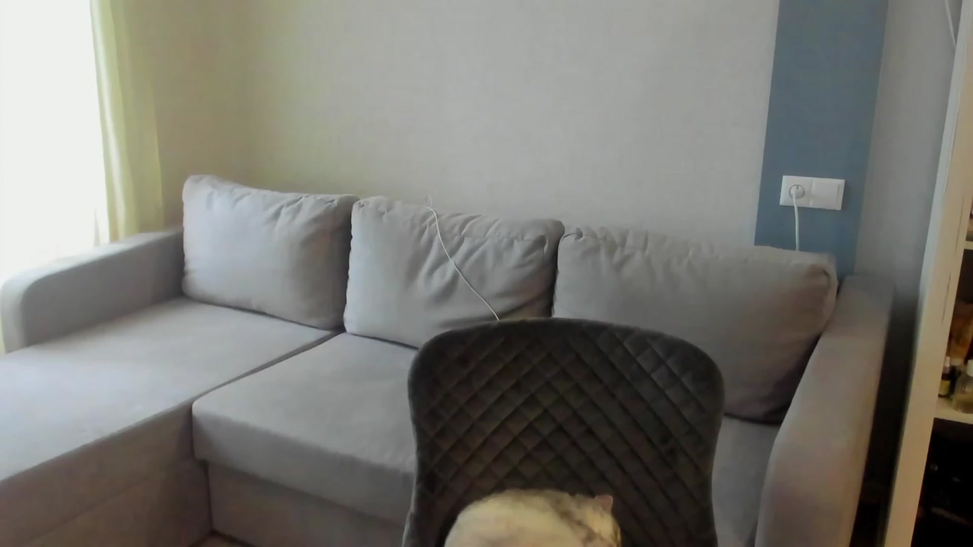 Gallery image thumbnail from Iam_Sasha's myfreecams stream on, 05/15/2023, 13:44 image 19 of 20