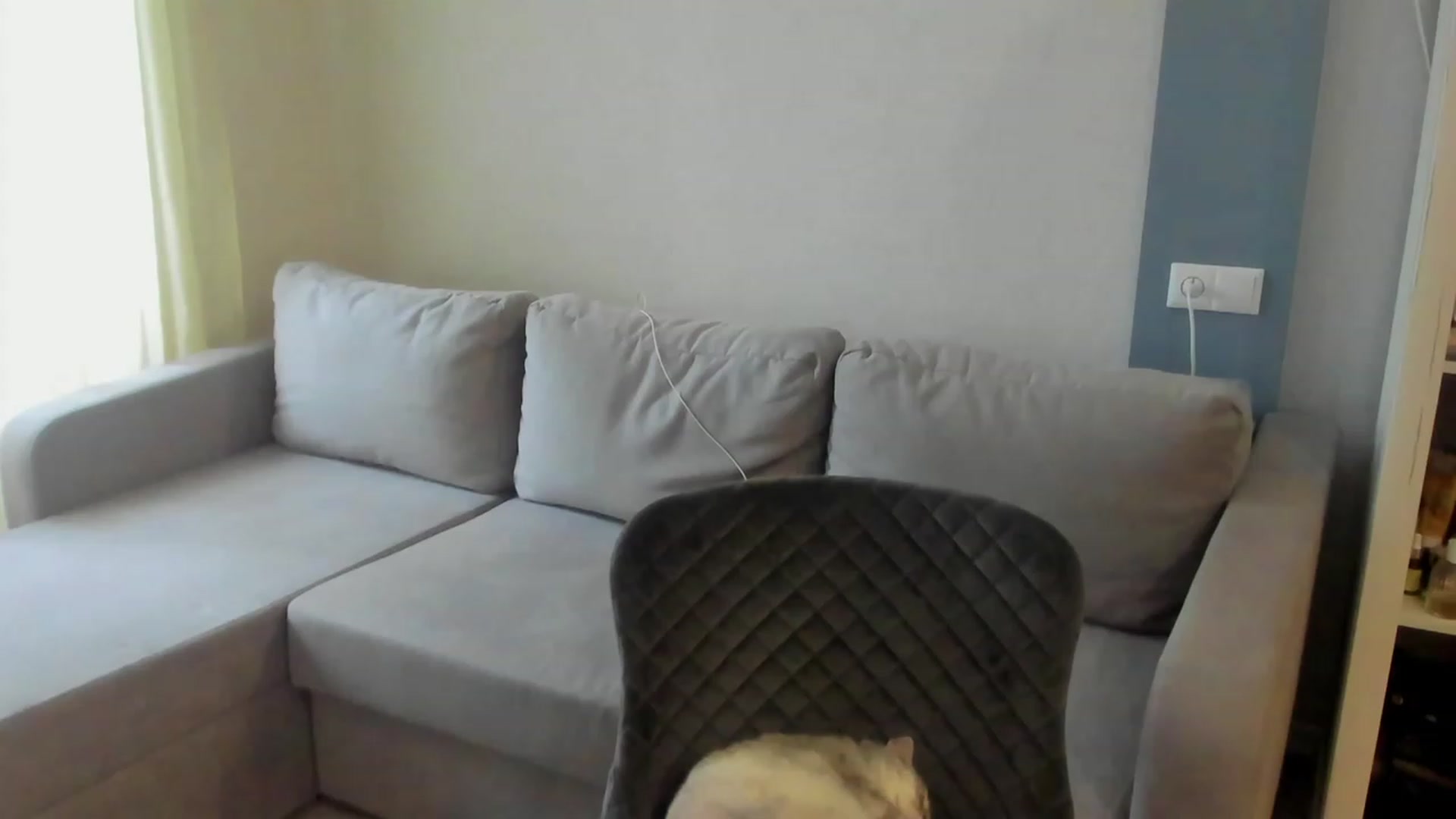 Gallery image thumbnail from Iam_Sasha's myfreecams stream on, 05/15/2023, 13:44 image 20 of 20