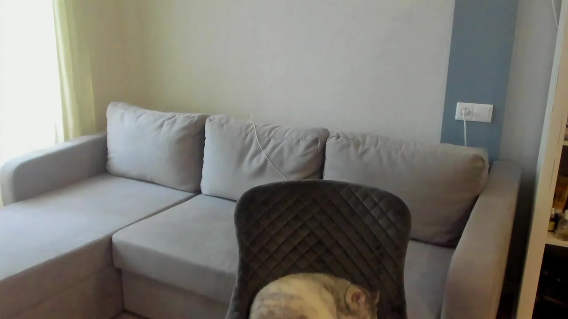 Gallery image thumbnail from Iam_Sasha's myfreecams stream on, 05/15/2023, 13:44 image 10 of 20
