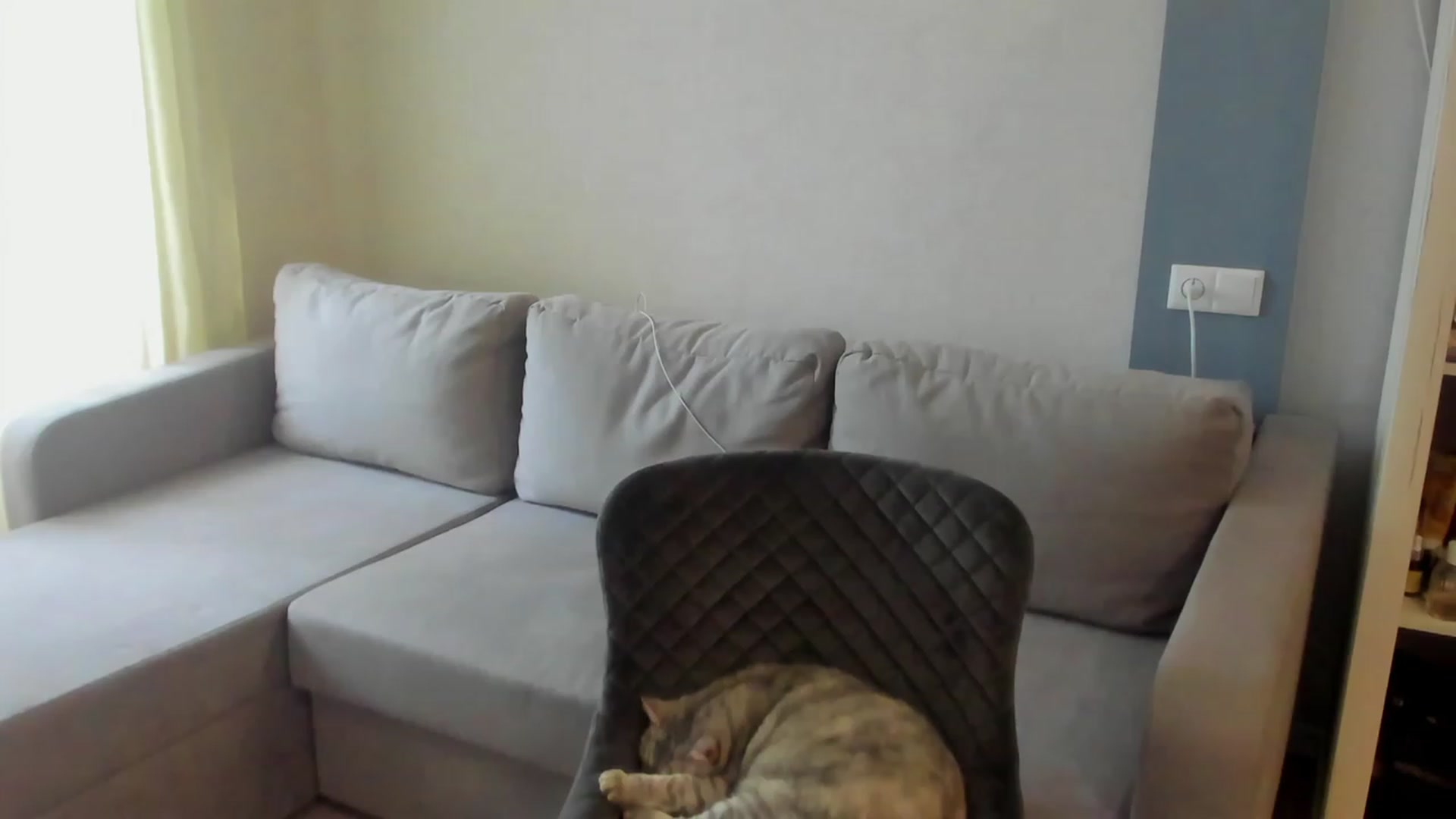Gallery image thumbnail from Iam_Sasha's myfreecams stream on, 05/15/2023, 13:44 image 4 of 20