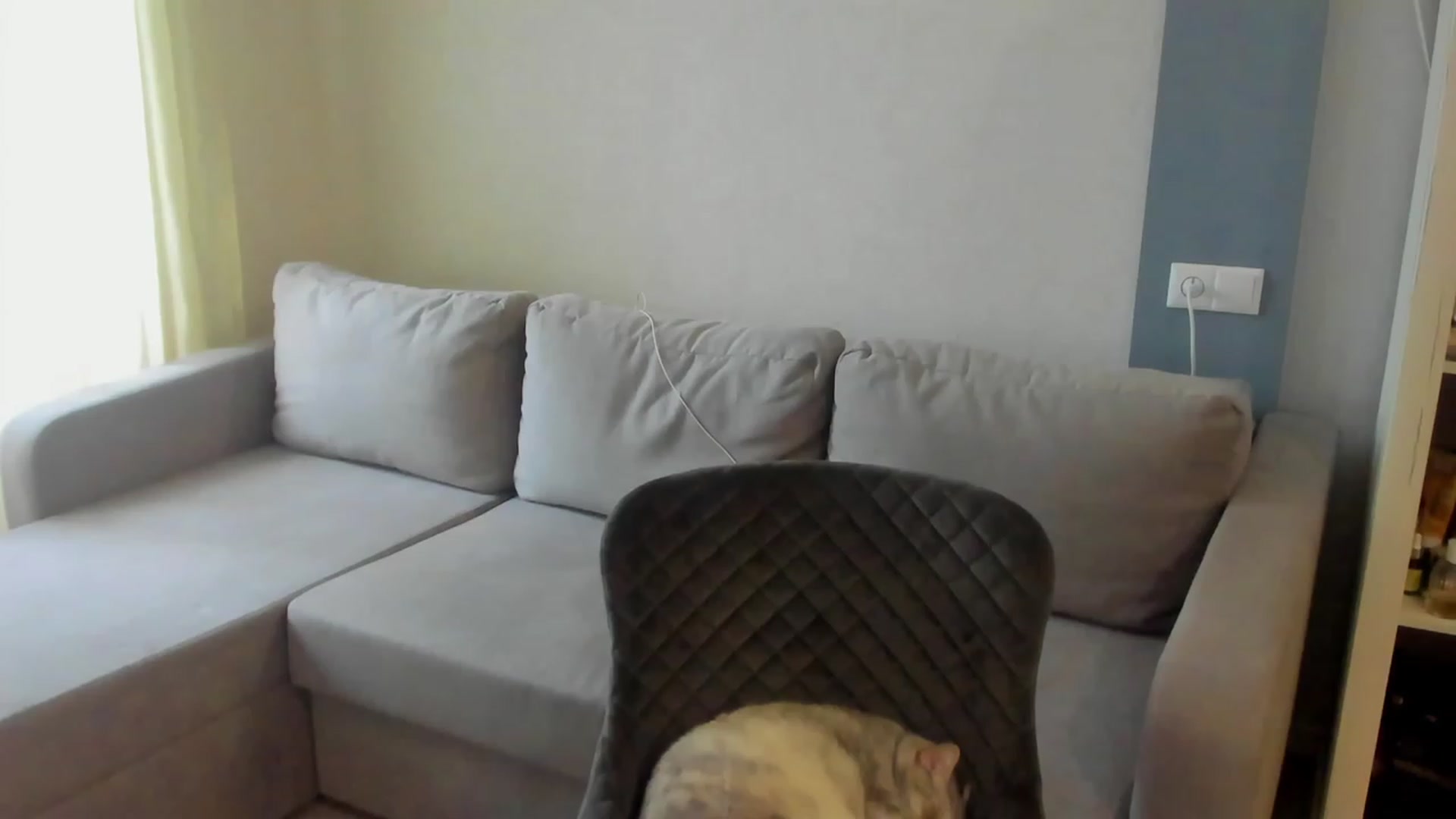 Gallery image thumbnail from Iam_Sasha's myfreecams stream on, 05/15/2023, 13:44 image 12 of 20