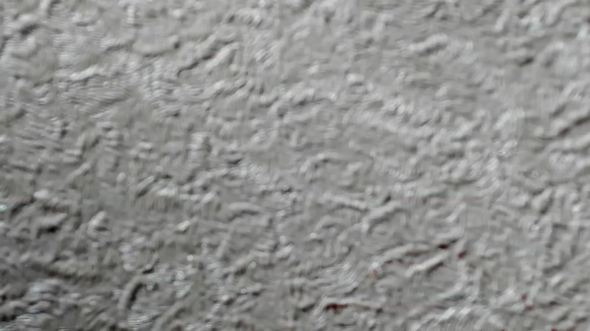 Gallery image thumbnail from Iam_Sasha's myfreecams stream on, 06/12/2023, 09:20 image 18 of 20