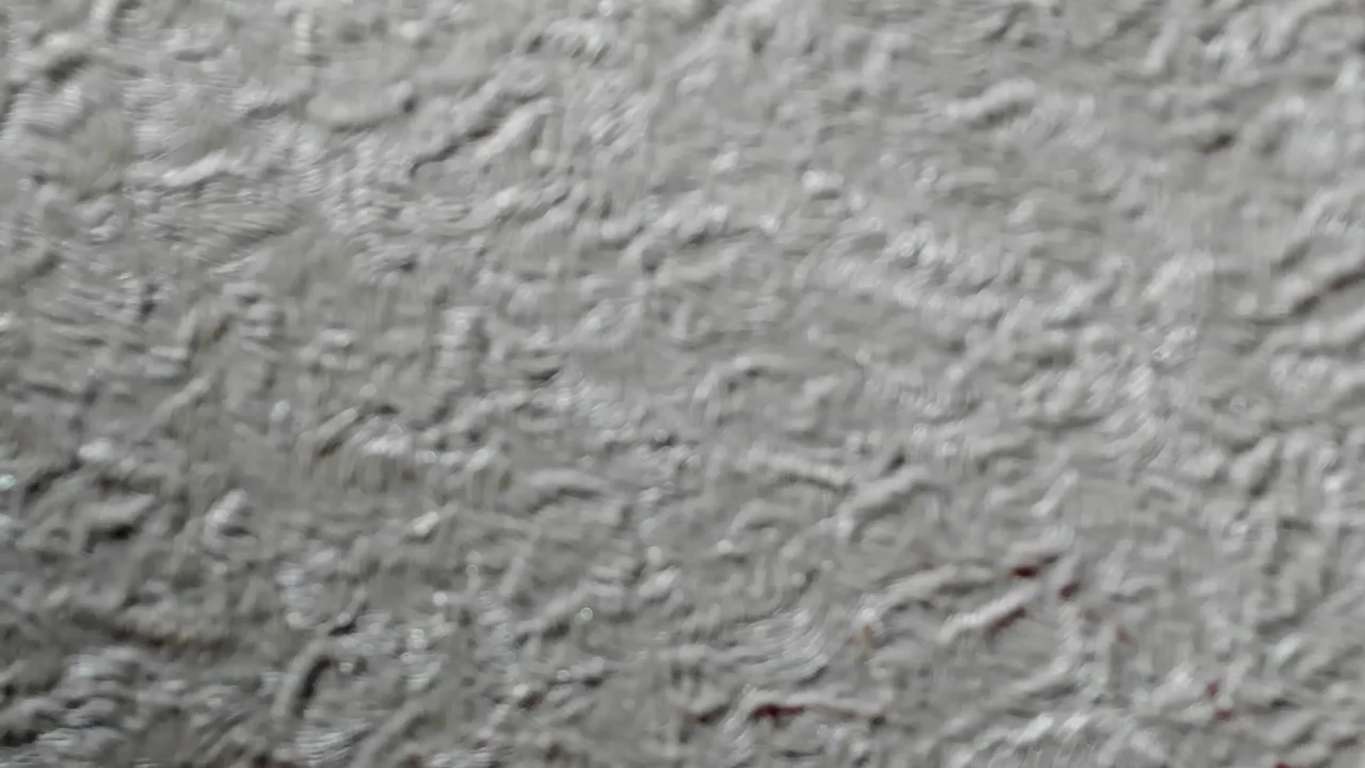 Gallery image thumbnail from Iam_Sasha's myfreecams stream on, 06/12/2023, 09:20 image 19 of 20