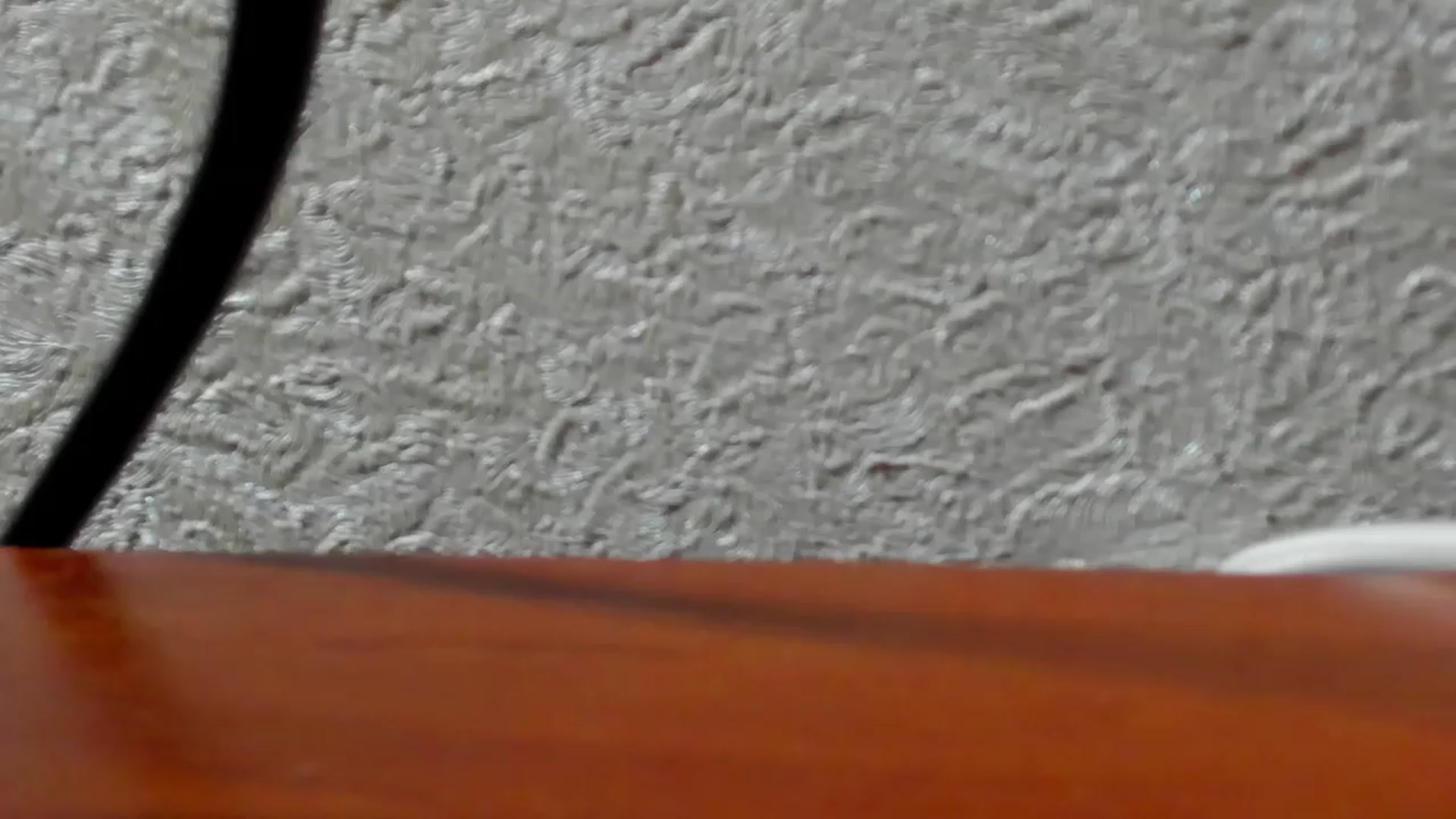 Gallery image thumbnail from Iam_Sasha's myfreecams stream on, 07/17/2023, 14:46 image 3 of 20