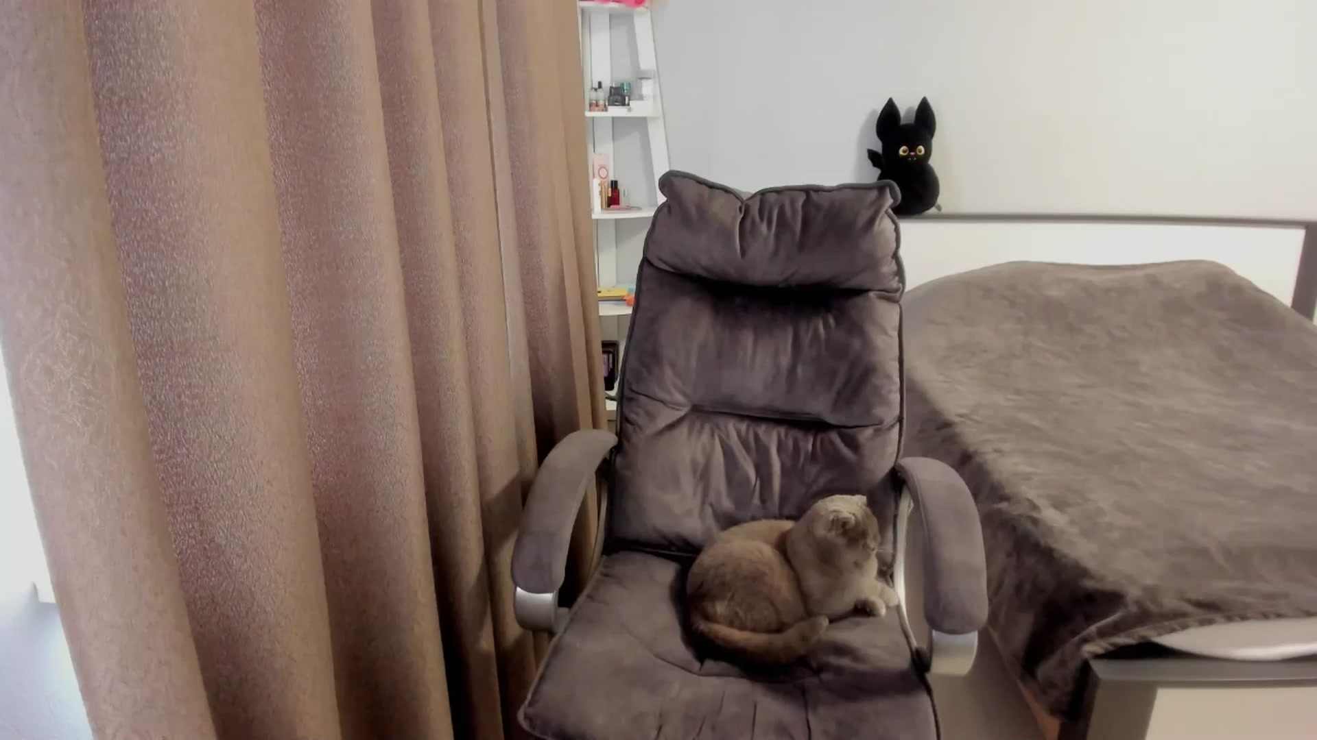 Gallery image thumbnail from Iam_Sasha's myfreecams stream on, 11/12/2025, 10:50 image 12 of 20