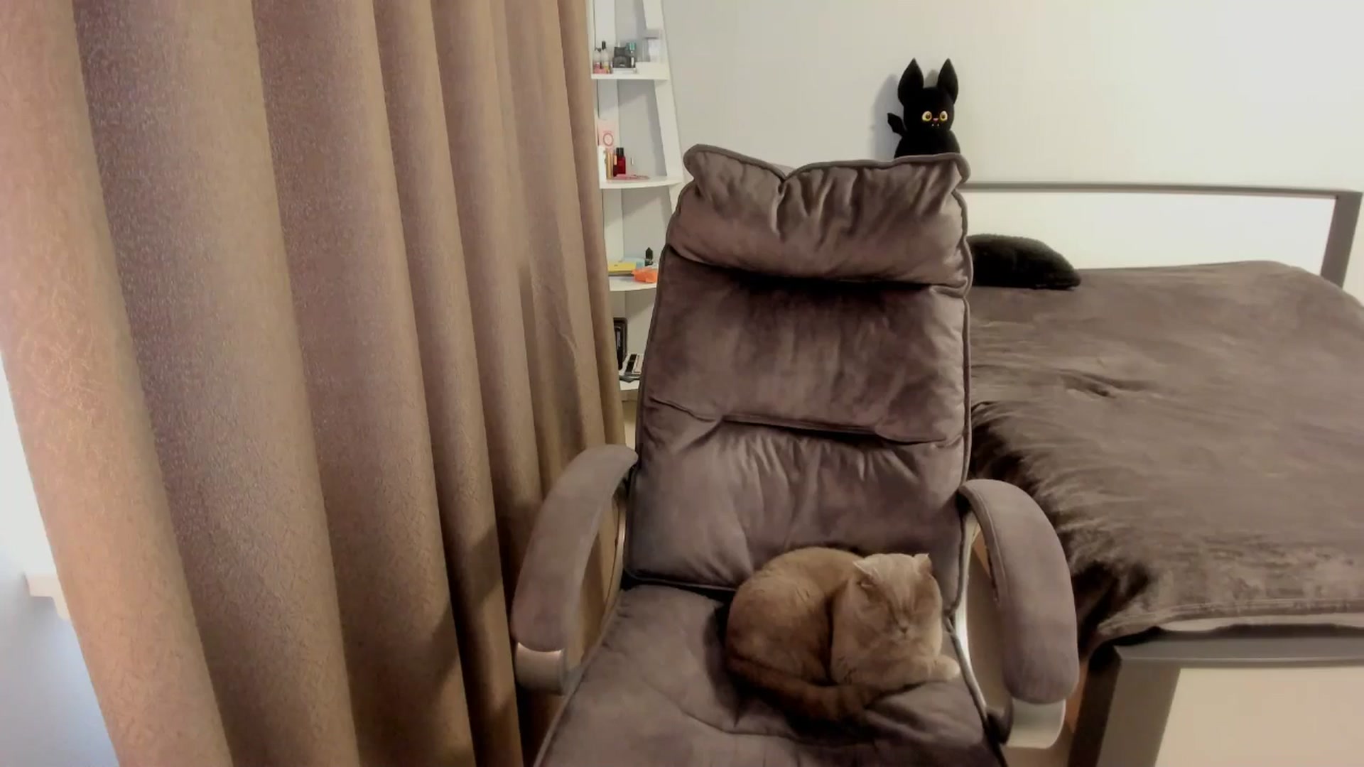 Gallery image thumbnail from Iam_Sasha's myfreecams stream on, 11/13/2025, 12:11 image 7 of 20