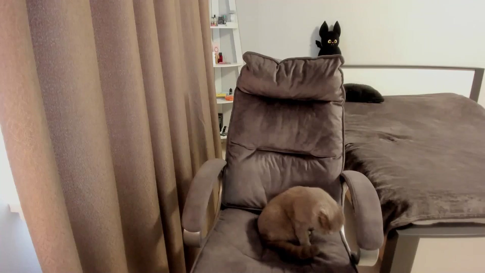 Gallery image thumbnail from Iam_Sasha's myfreecams stream on, 11/13/2025, 12:11 image 6 of 20