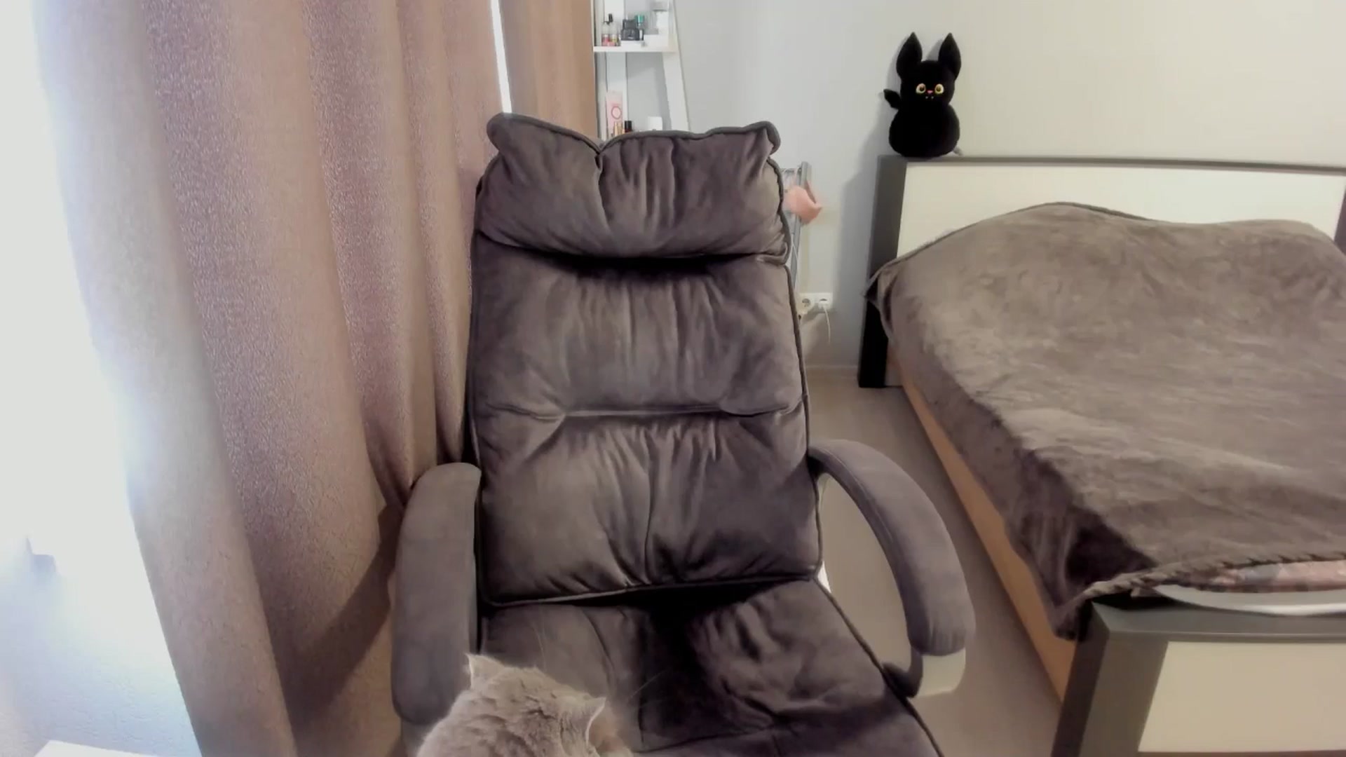 Gallery image thumbnail from Iam_Sasha's myfreecams stream on, 11/16/2025, 10:00 image 11 of 20