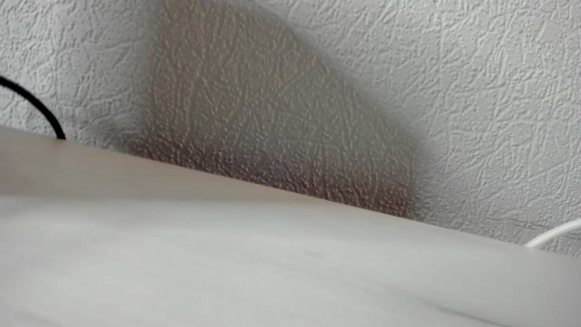 Gallery image thumbnail from Iam_Sasha's myfreecams stream on, 12/12/2025, 10:08 image 14 of 20