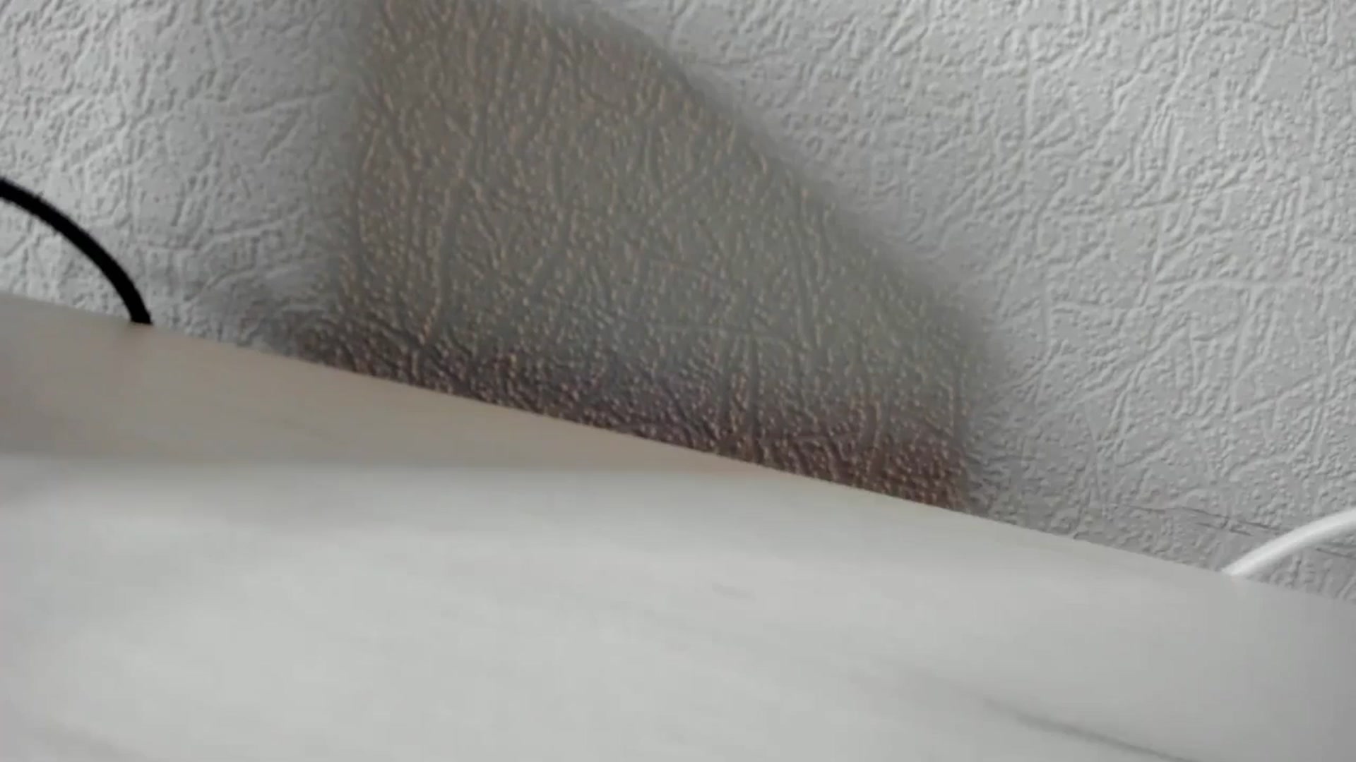 Gallery image thumbnail from Iam_Sasha's myfreecams stream on, 12/12/2025, 10:08 image 12 of 20
