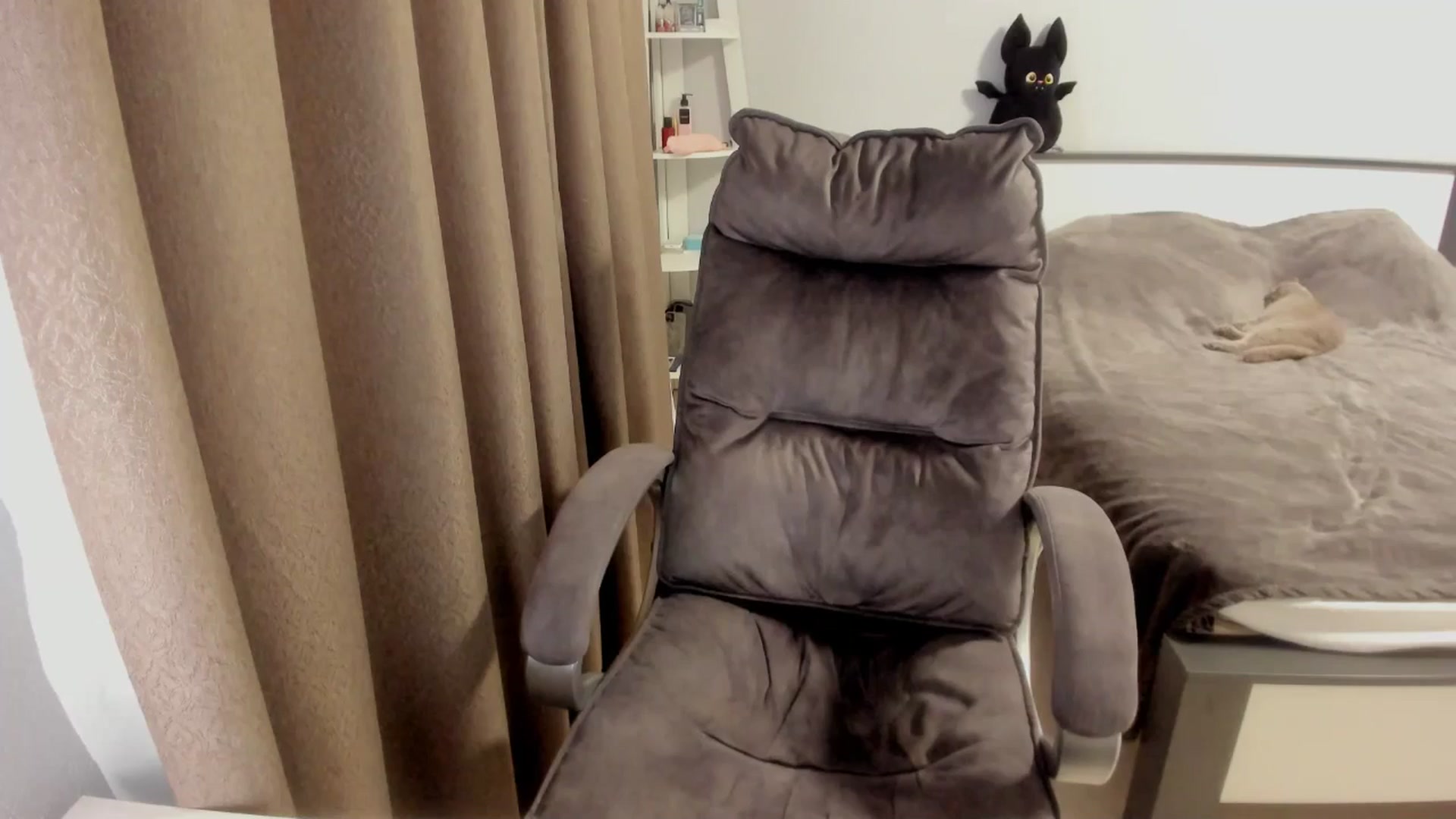 Gallery image thumbnail from Iam_Sasha's myfreecams stream on, 12/18/2025, 14:39 image 14 of 20