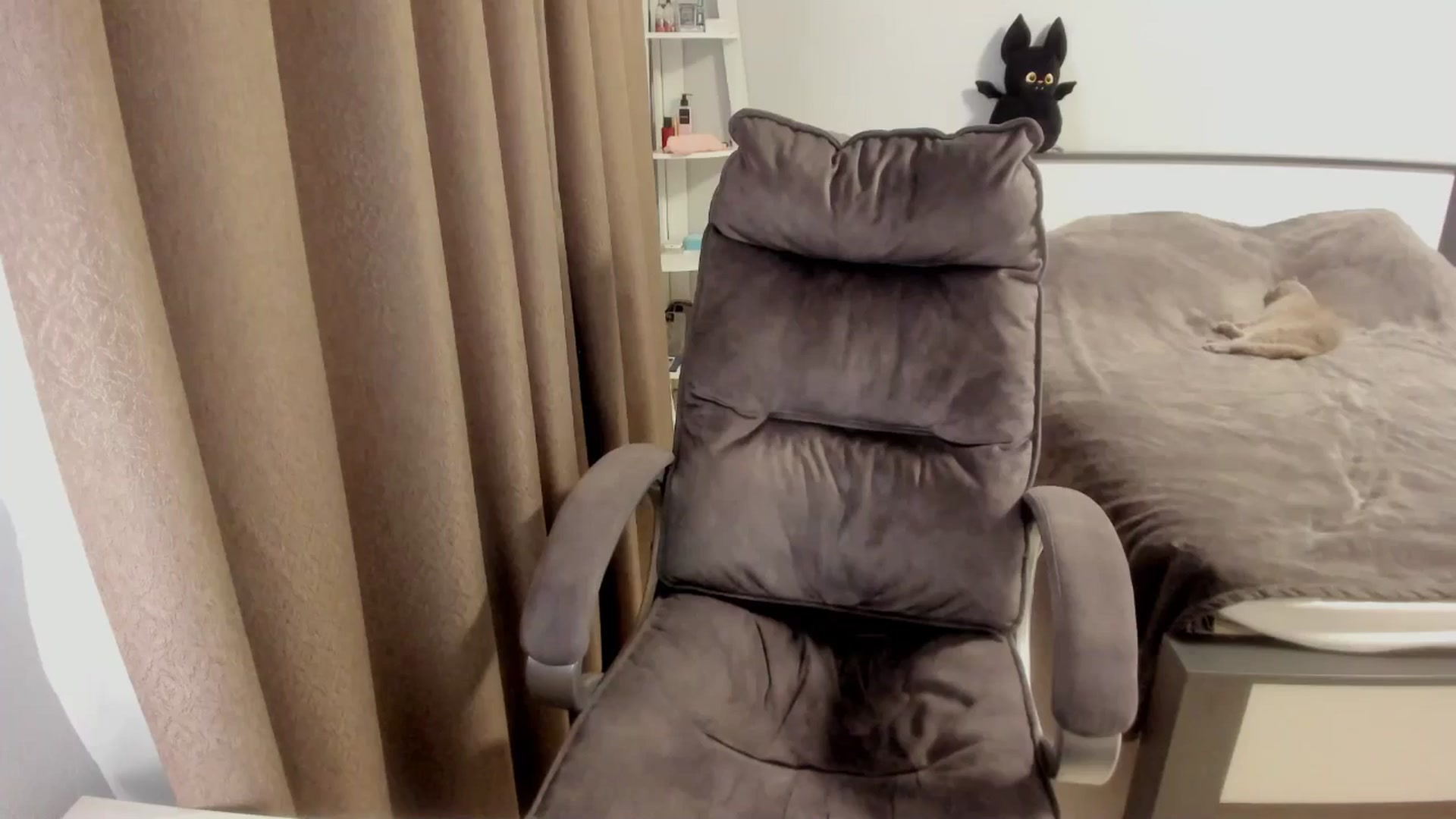 Gallery image thumbnail from Iam_Sasha's myfreecams stream on, 12/18/2025, 14:39 image 13 of 20