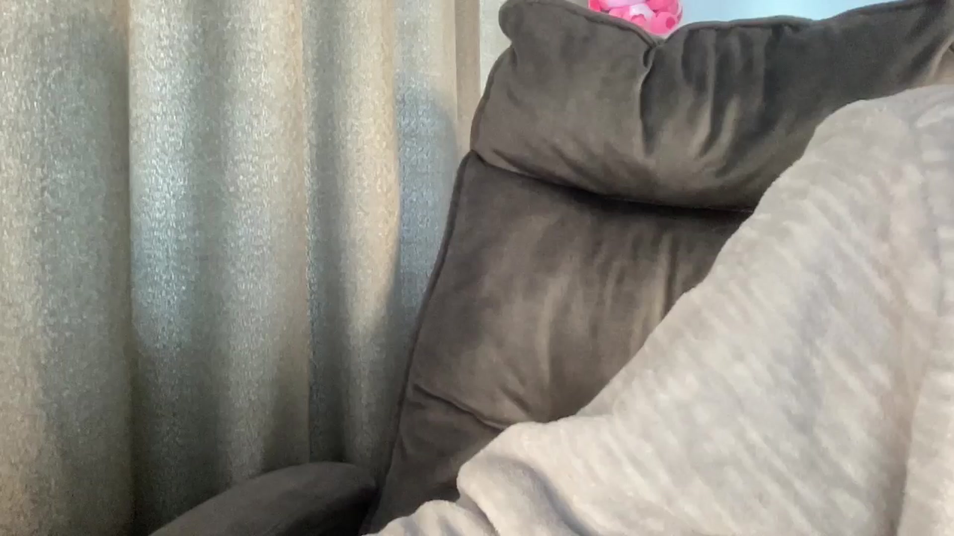 Gallery image thumbnail from Iam_Sasha's myfreecams stream on, 02/10/2026, 12:39 image 7 of 20