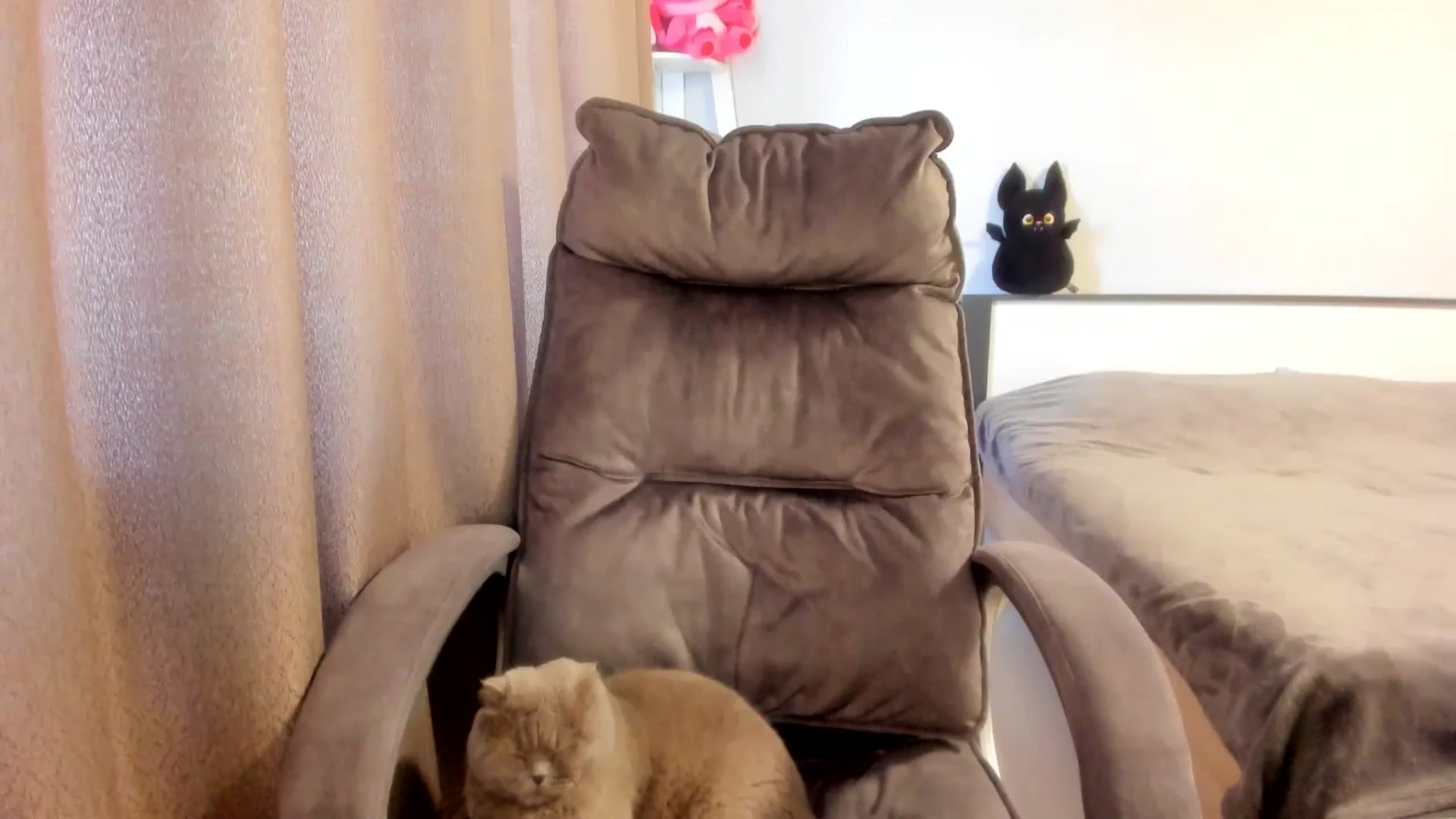 Gallery image thumbnail from Iam_Sasha's myfreecams stream on, 03/09/2026, 10:49 image 3 of 20